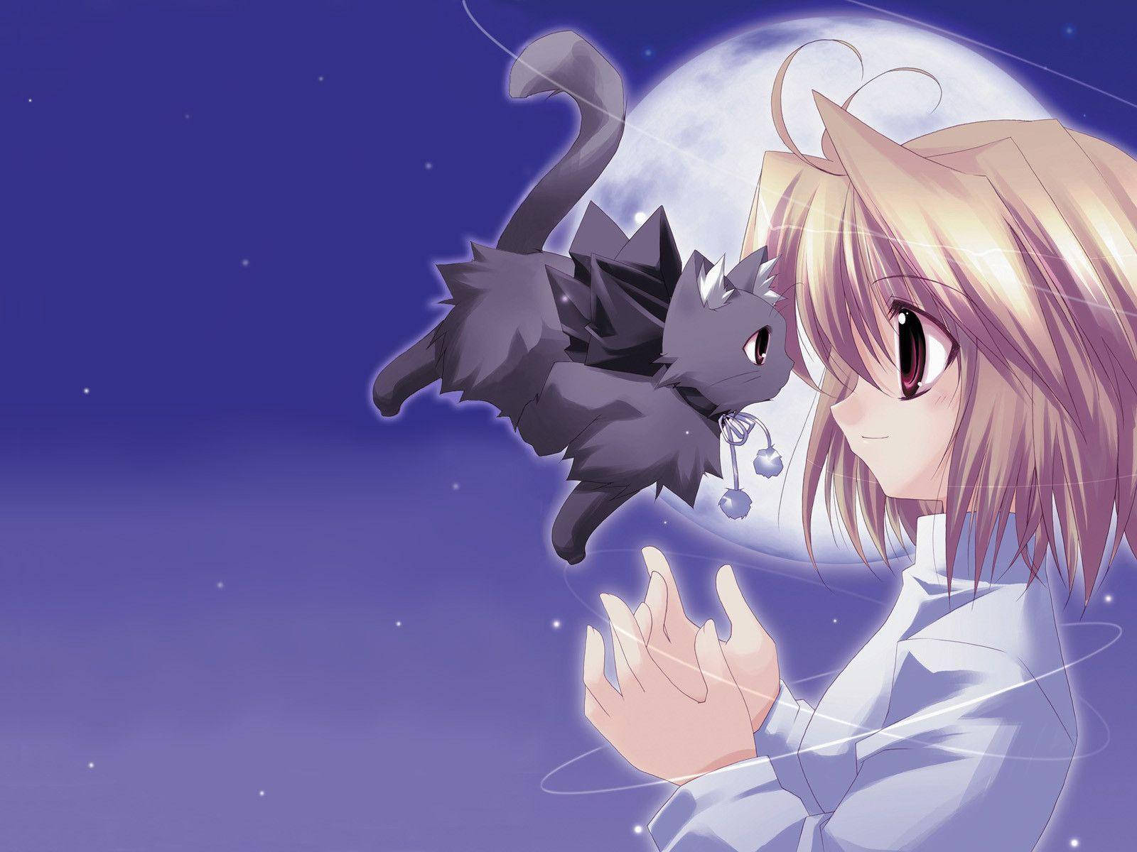 Kawaii Anime Arcueid Brunestud With Flying Cat Background