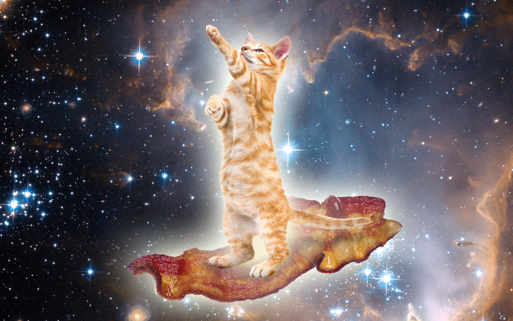Kawaii Cat On Galaxy Background