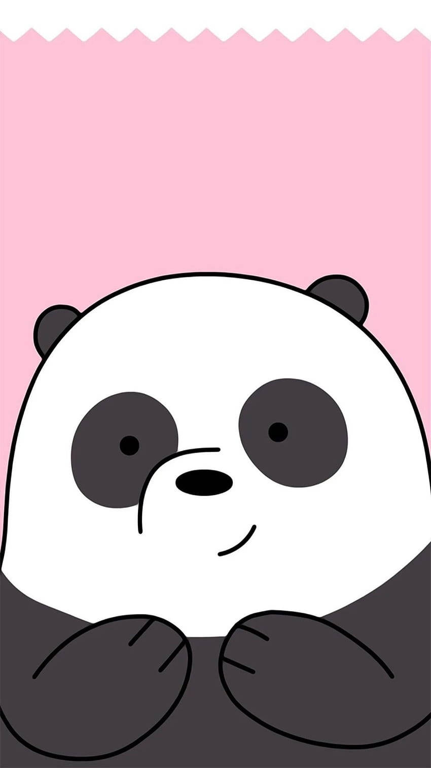 Kawaii Cute Animals Panda Background