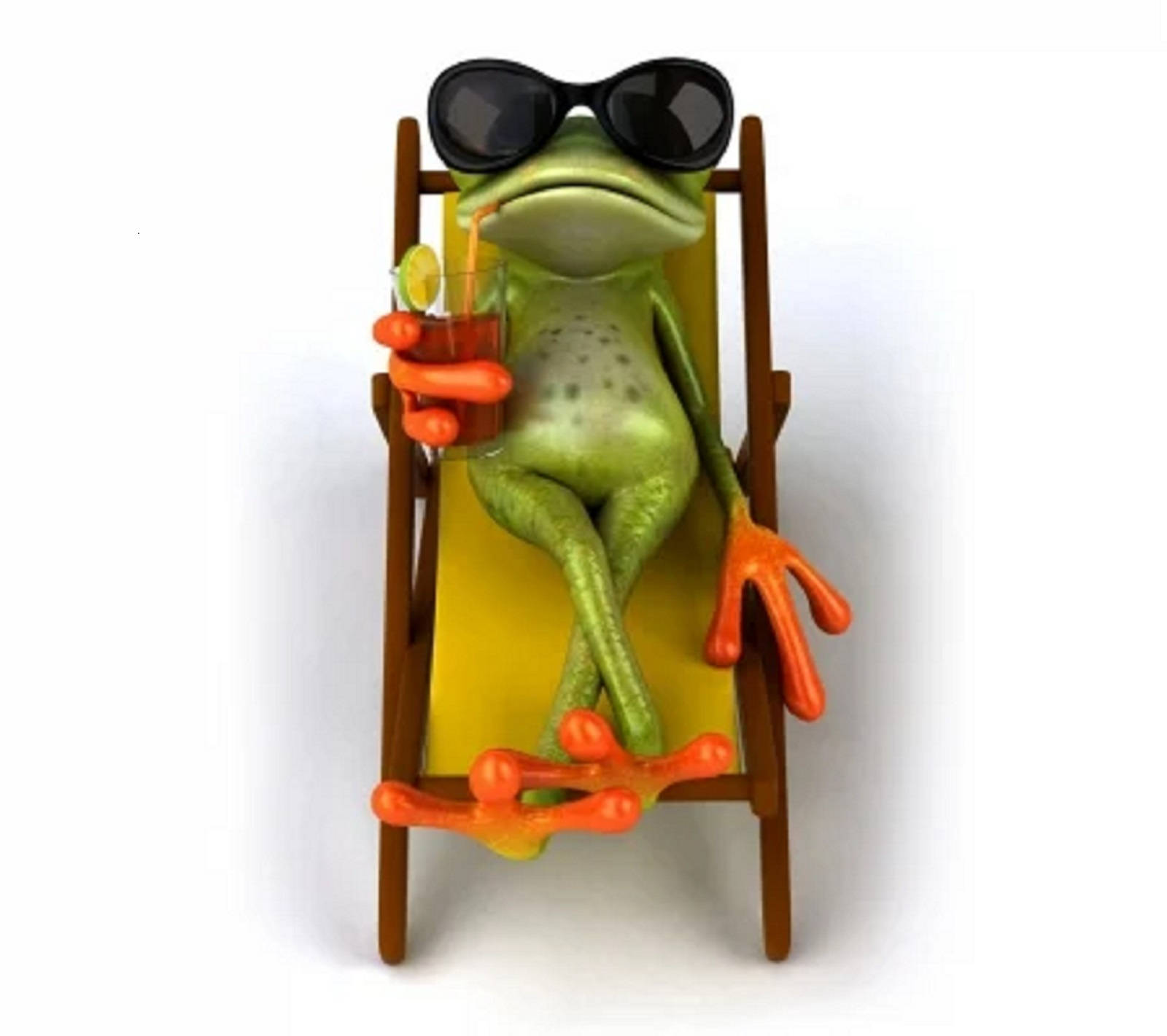 Kawaii Frog On A Vacation