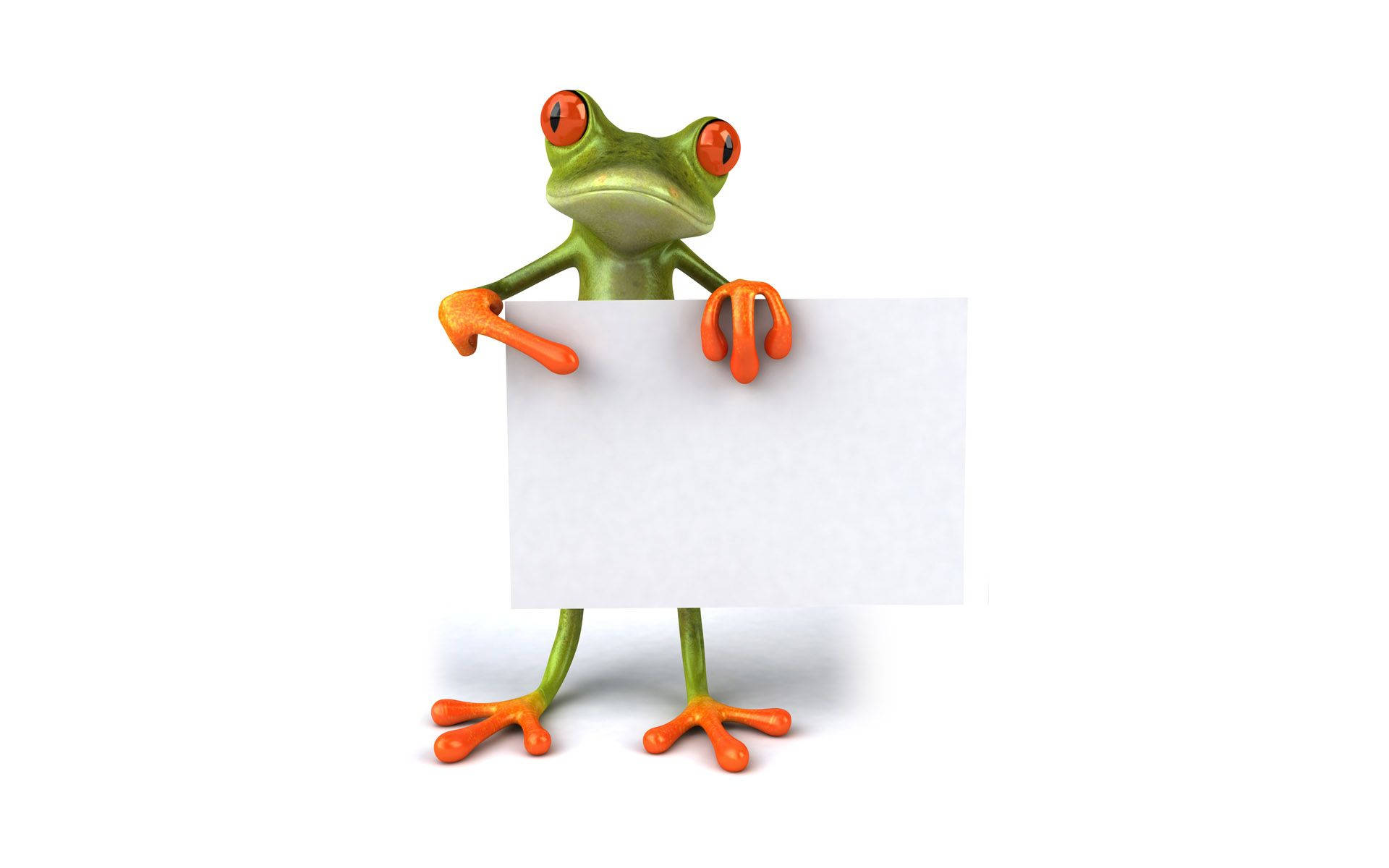 Kawaii Frog With Paper Background