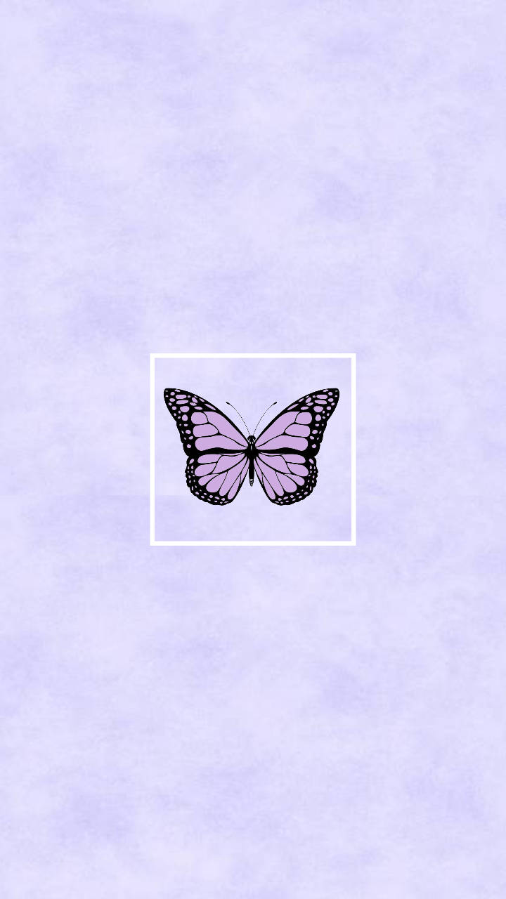 Kawaii Purple Butterfly Background