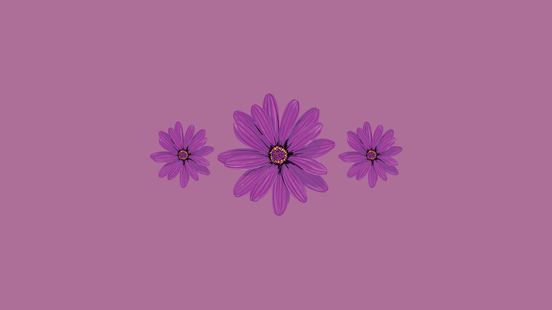 Kawaii Purple Daisies Background