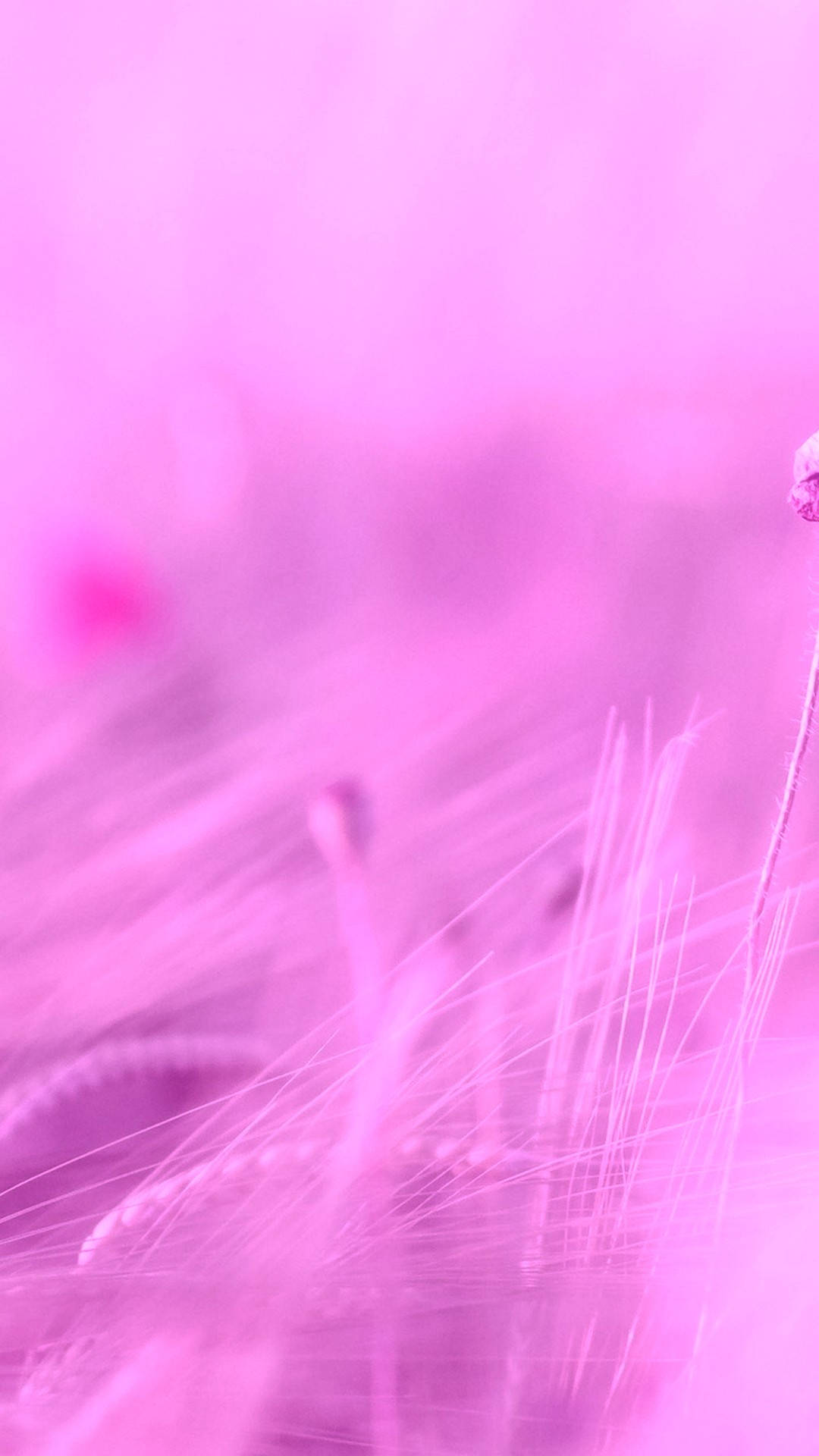 Kawaii Purple Grass Background