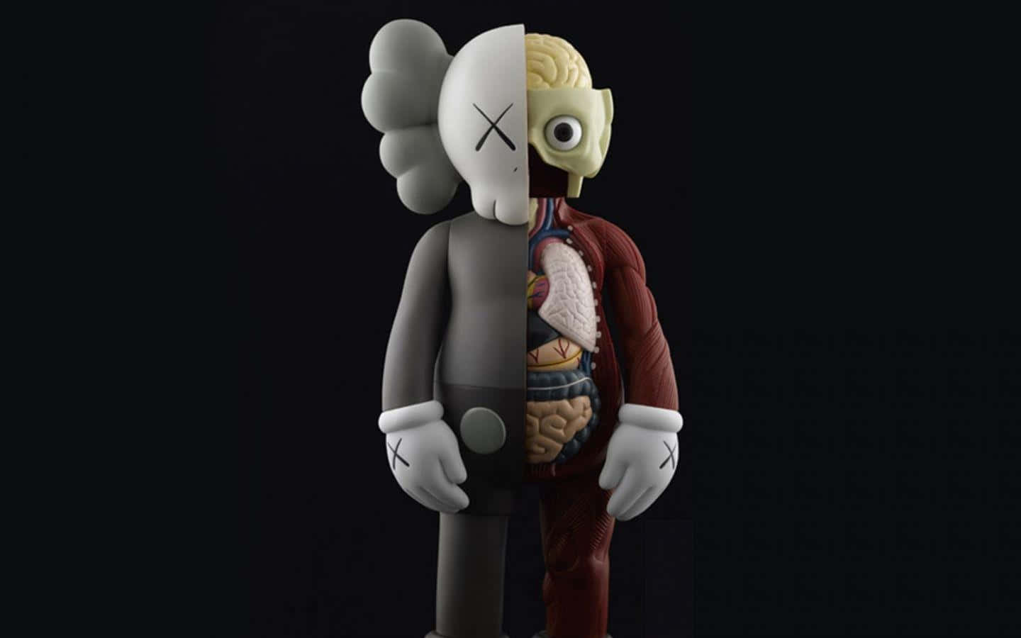 Kaws Half Anatomy Black And White