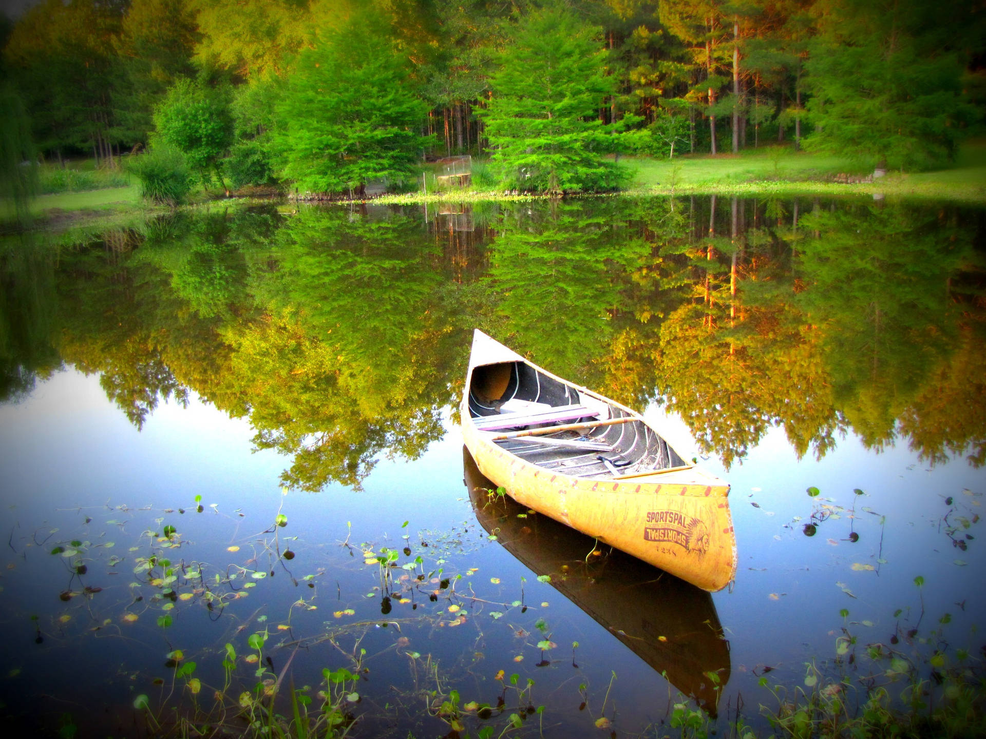 Kayaking On A Lake Background