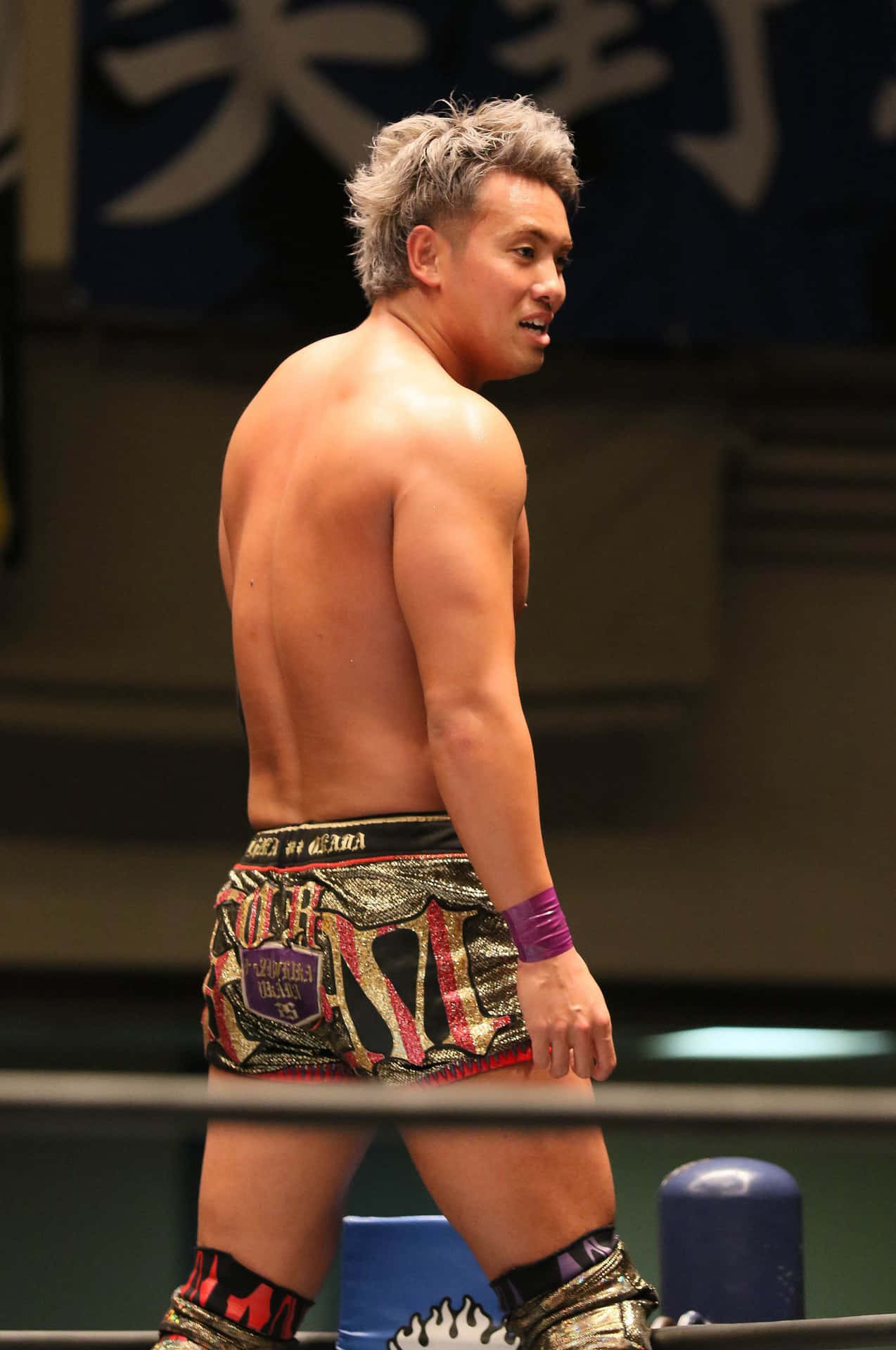 Kazuchika Okada Iwgp Wrestling Champion