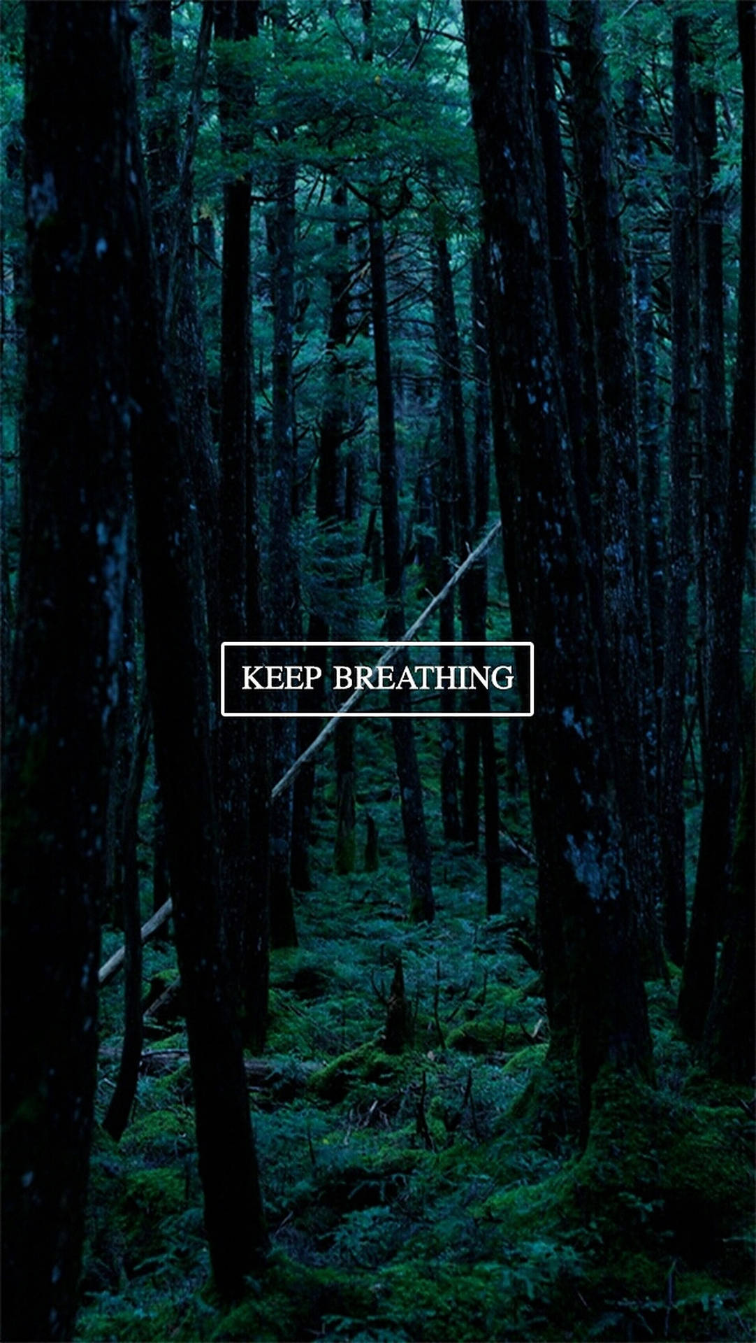 Keep Breathing Dark Trees Background