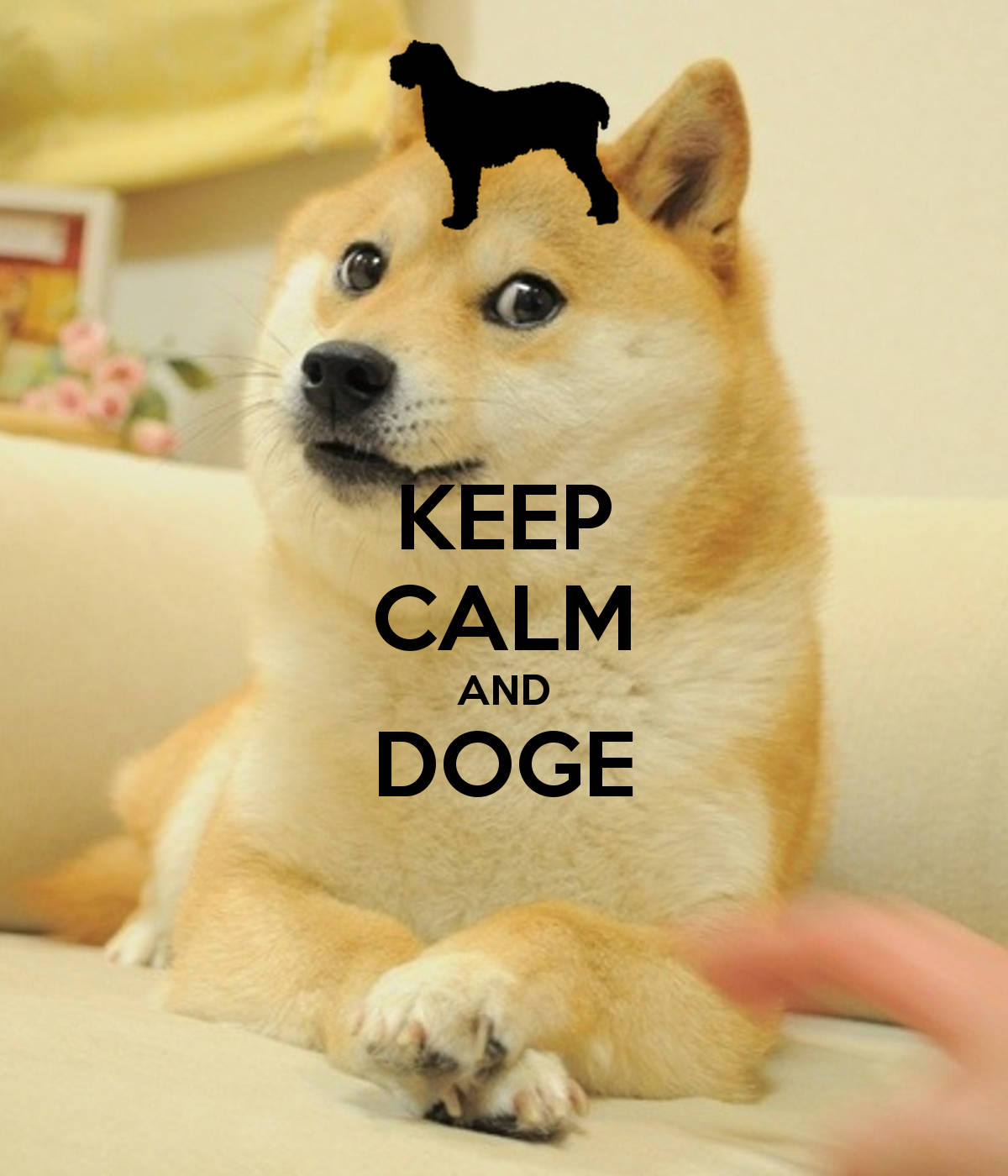 Keep Calm And Doge On! Background