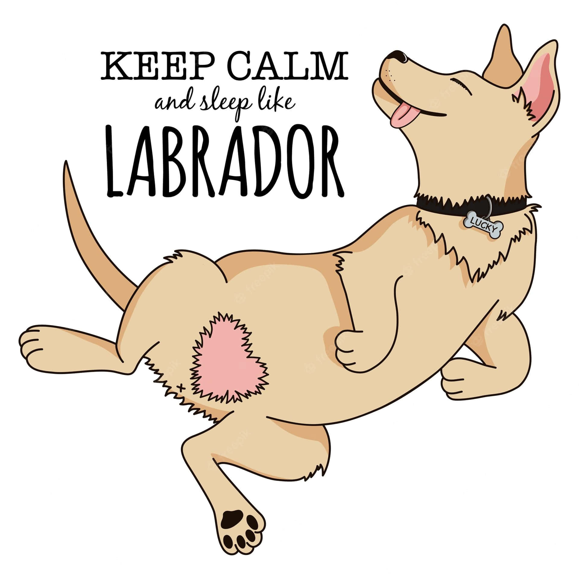 Keep Calm And Sleep The Labrador Background