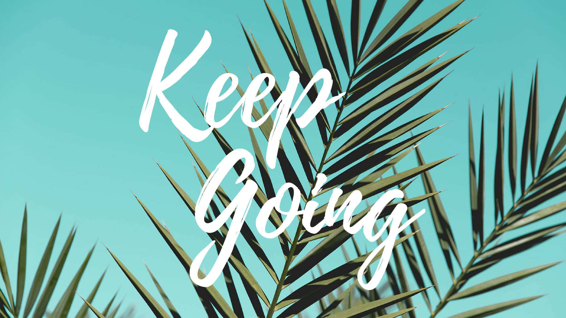 Keep Going - A Tropical Palm Leaf With The Words Keep Going Background