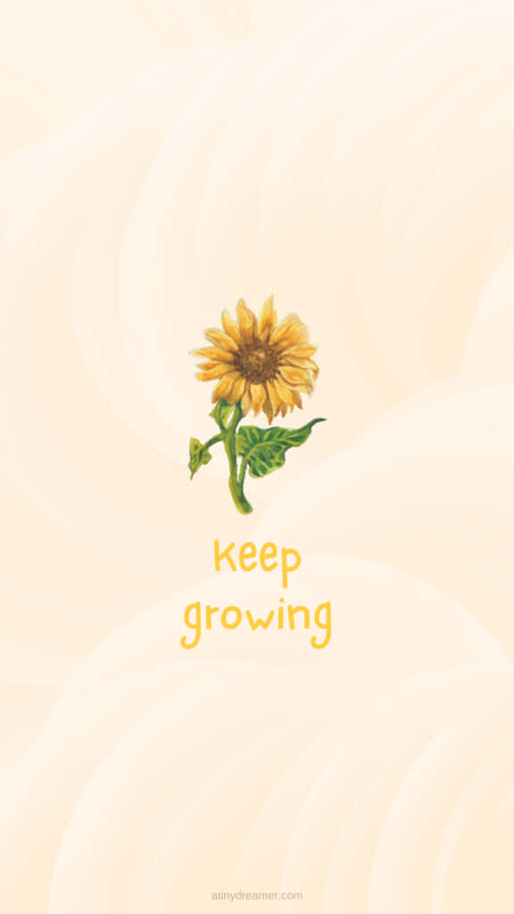 Keep Going - Never Give Up! Background