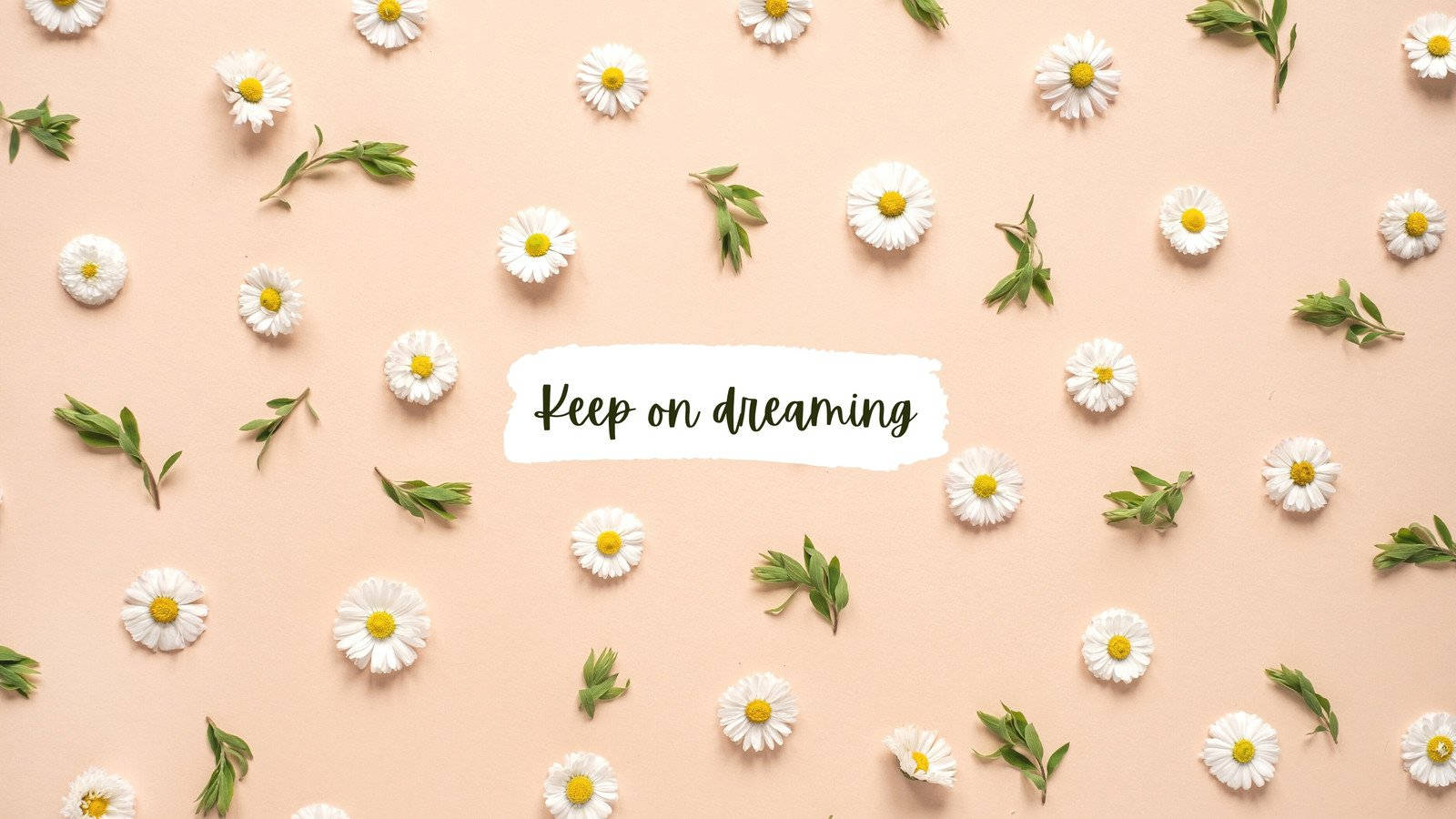 Keep On Sleeping On A Pink Background With Daisies