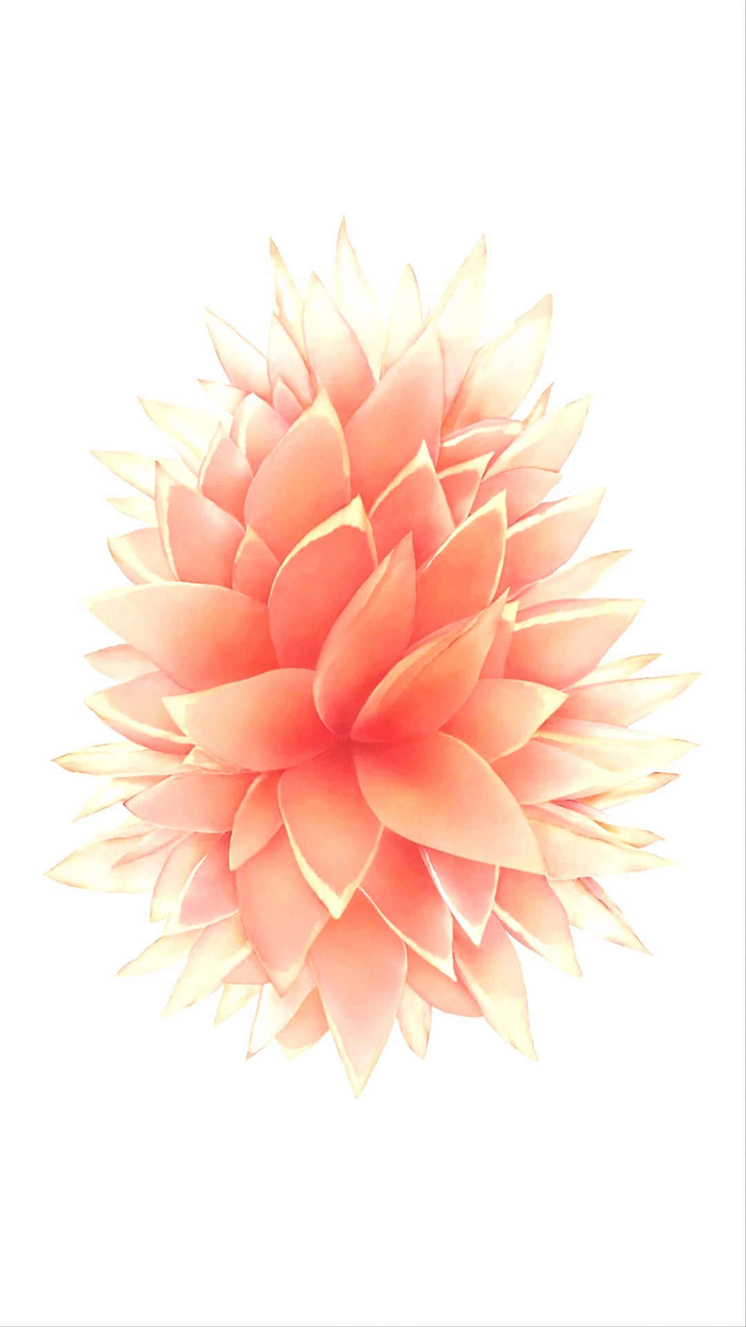 Keep Up With The Times And Stay Elegant With This Iphone Background