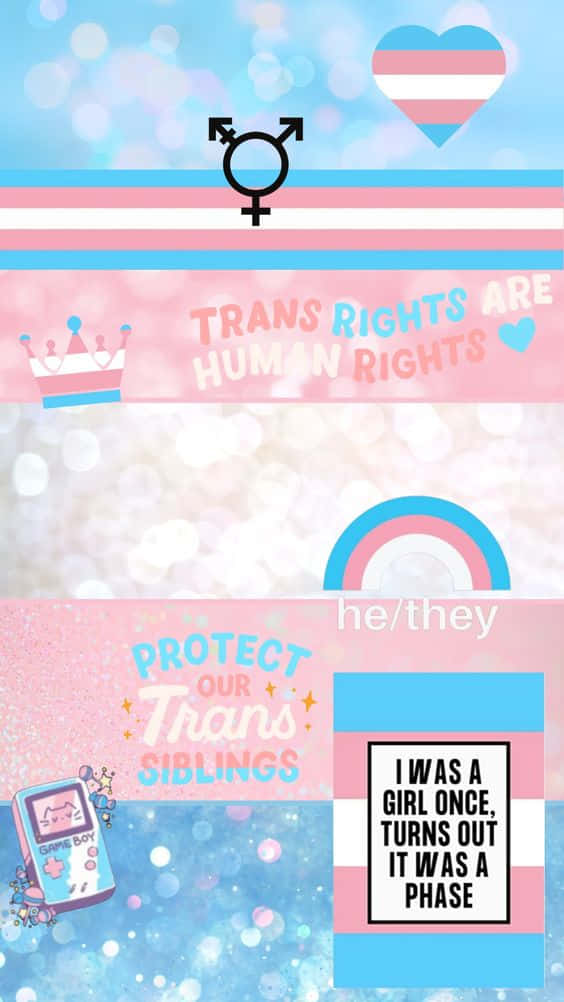 Keep Your Conversations Secure With Trans Phone
