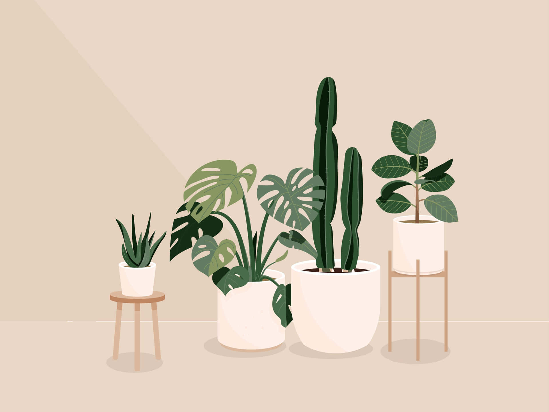 Keep Your Desktop Both Beautiful And Practical With An Aesthetic Plant Background. Background
