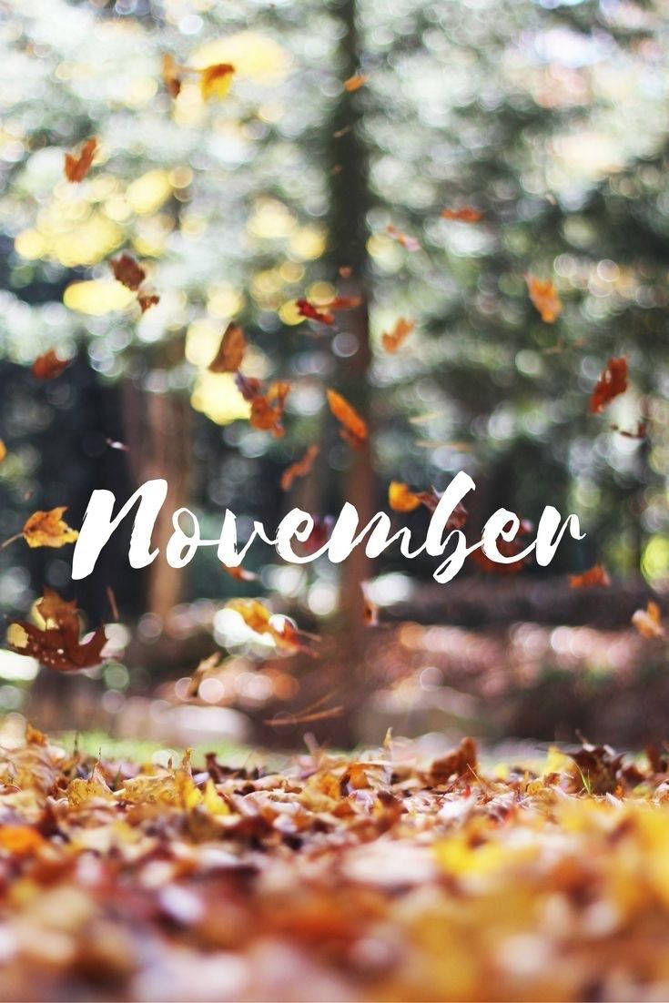 Keep Your Device Updated With November Iphone Wallpaper Background