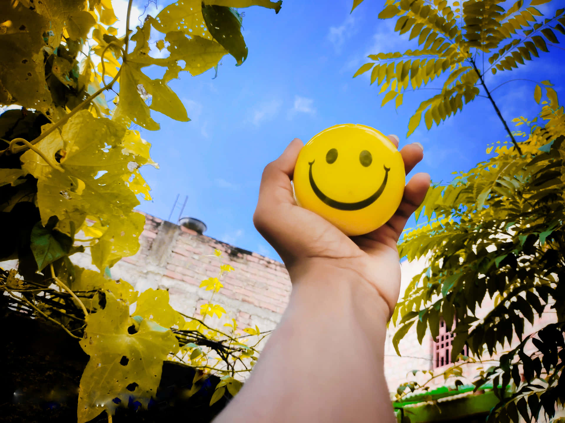 Keep Your Happy Desktop Smiling And Productive Background