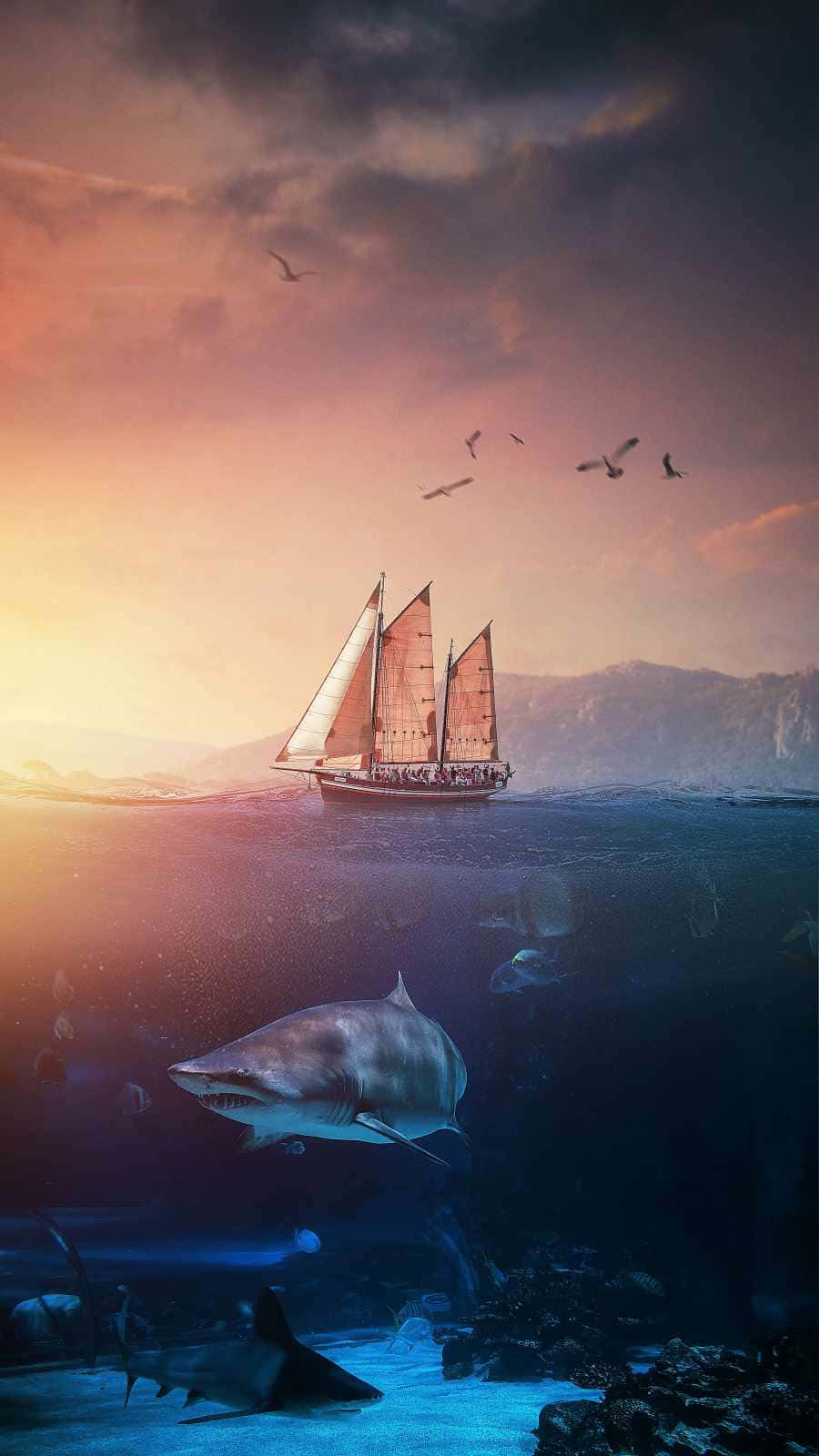 Keeping Up To Date With The Latest Tech Trends? Get The Shark Iphone For The Ultimate User Experience! Background