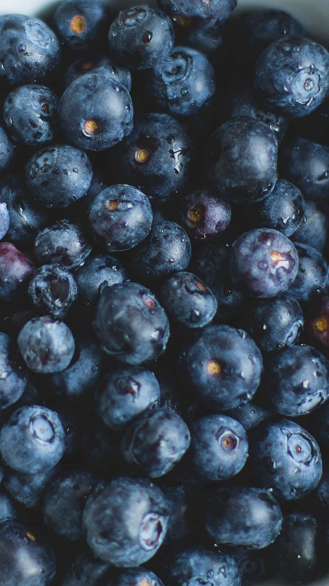 Keeping Your Stomach And Phone Happy With Food Phone Background