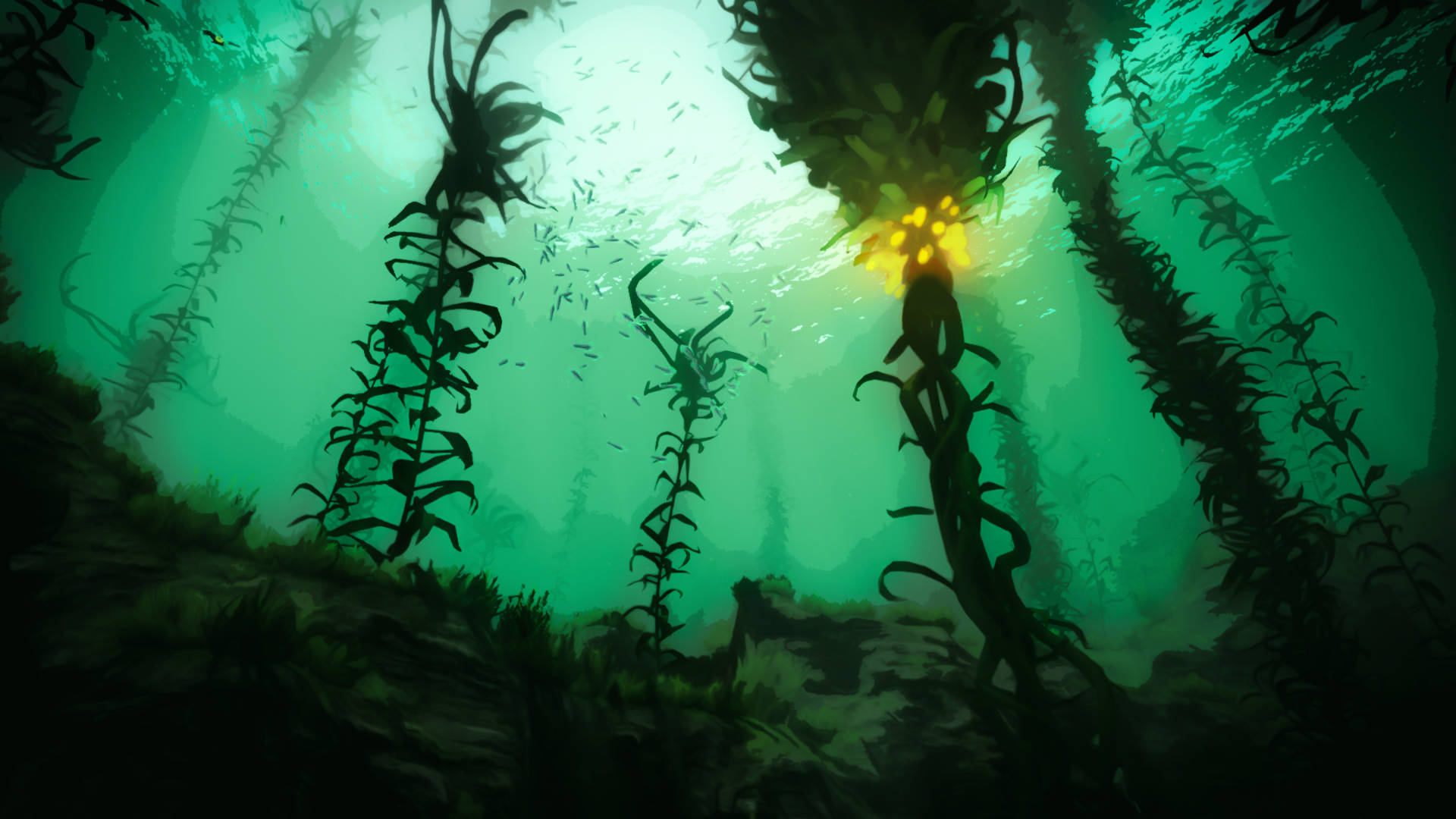 Kelp Forest Subnautica Background
