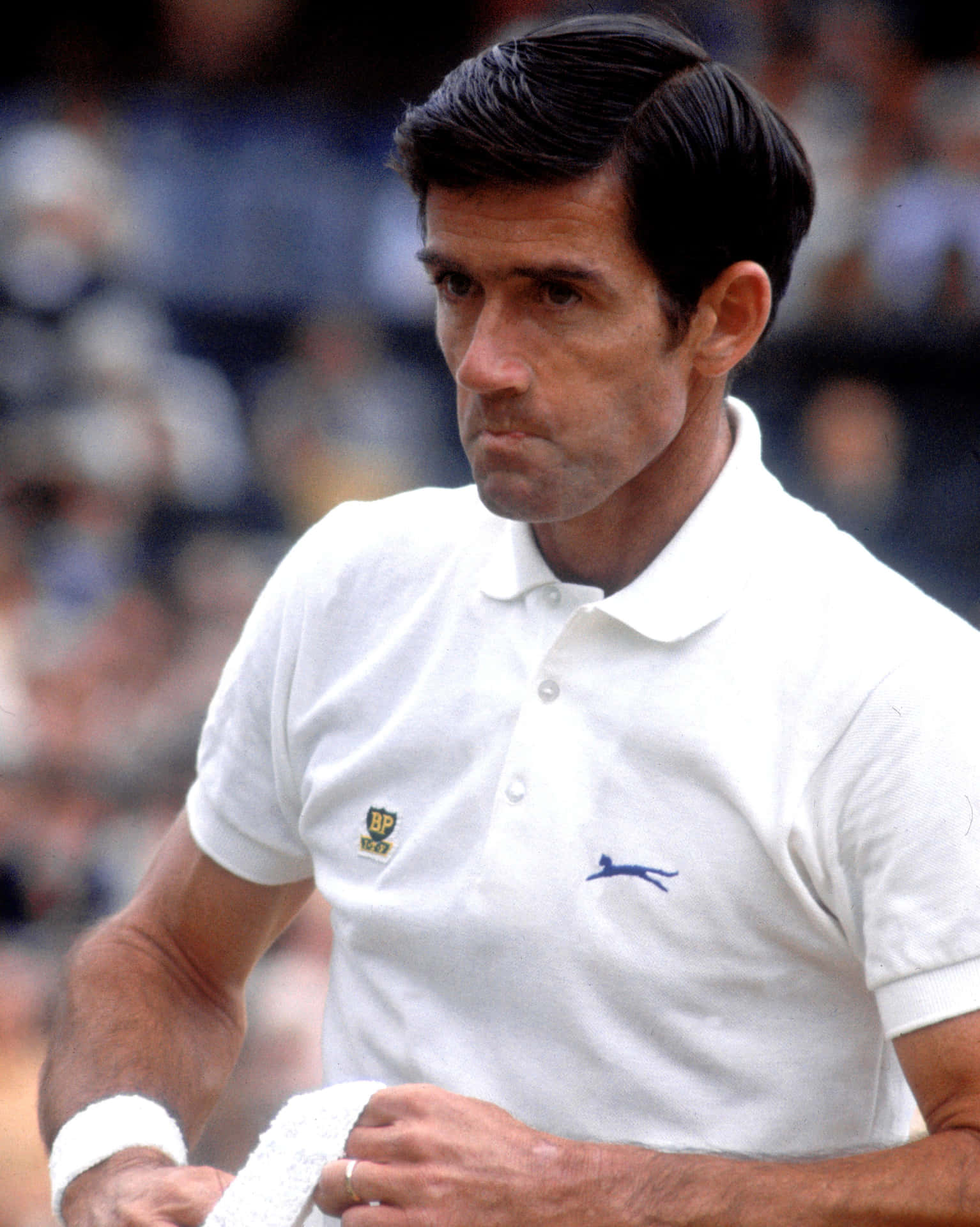 Ken Rosewall Game Face Close Up Photography Background