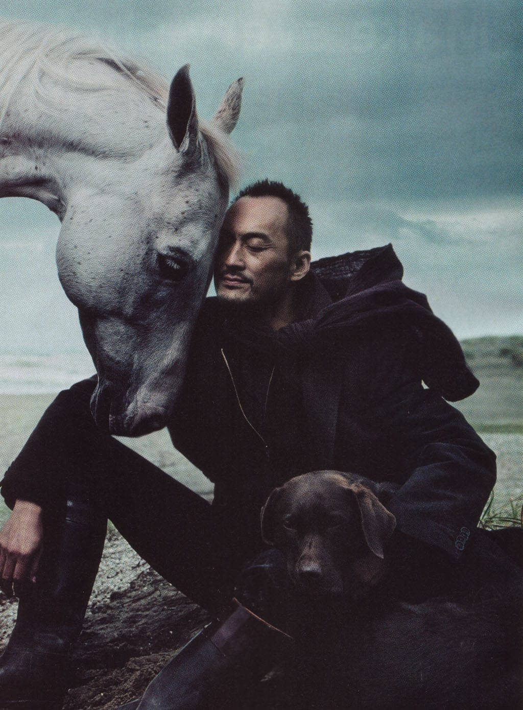 Ken Watanabe Horse Dog Photography Background