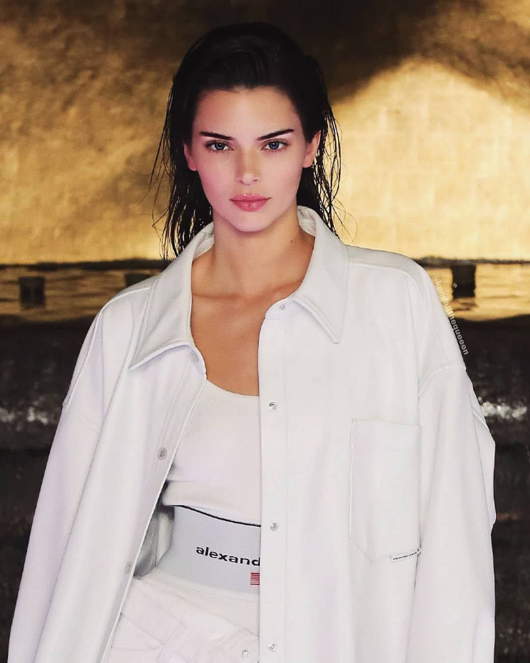 Kendall Jenner Wearing Alexander Wang Background