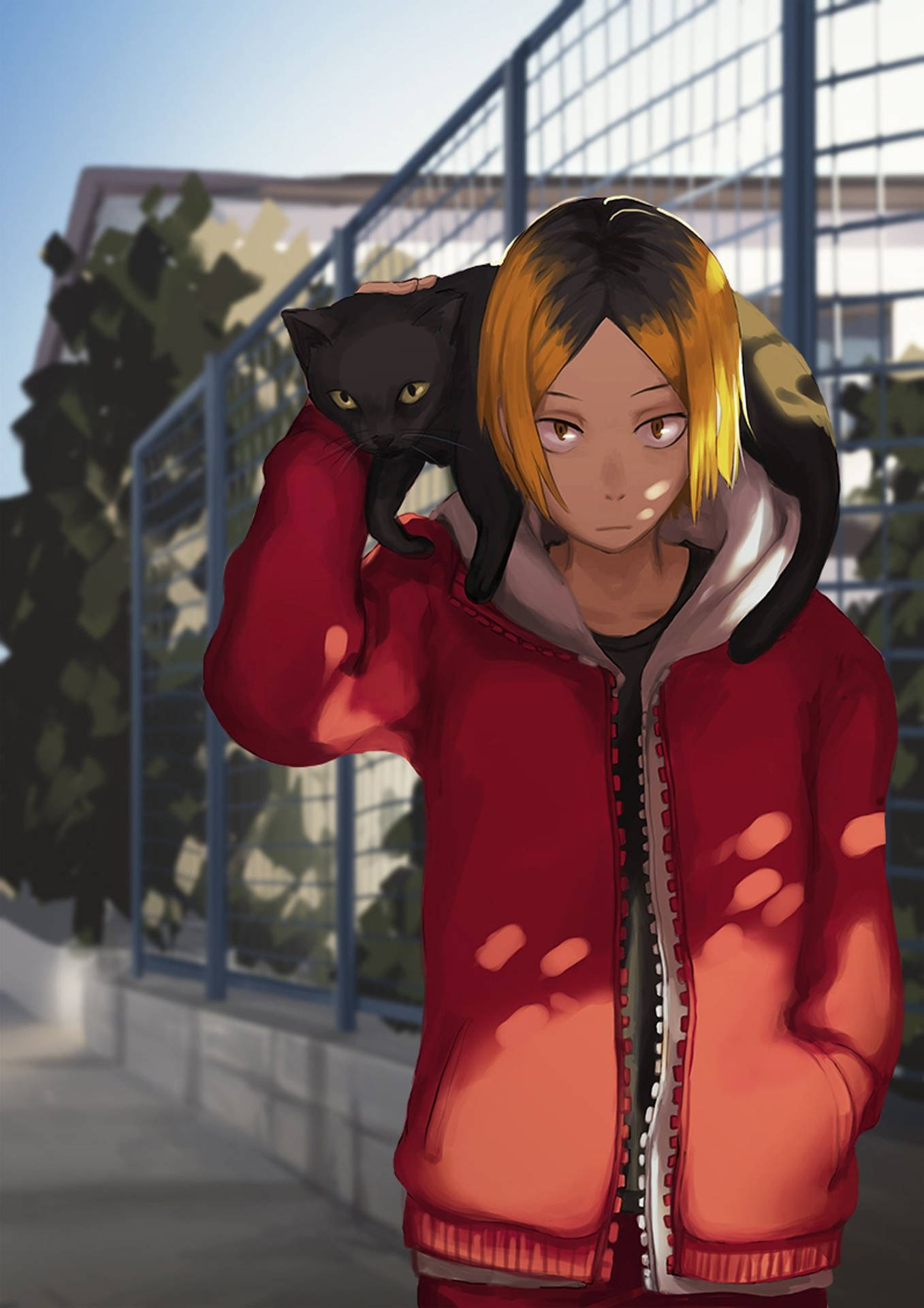 Kenma Carrying A Cat