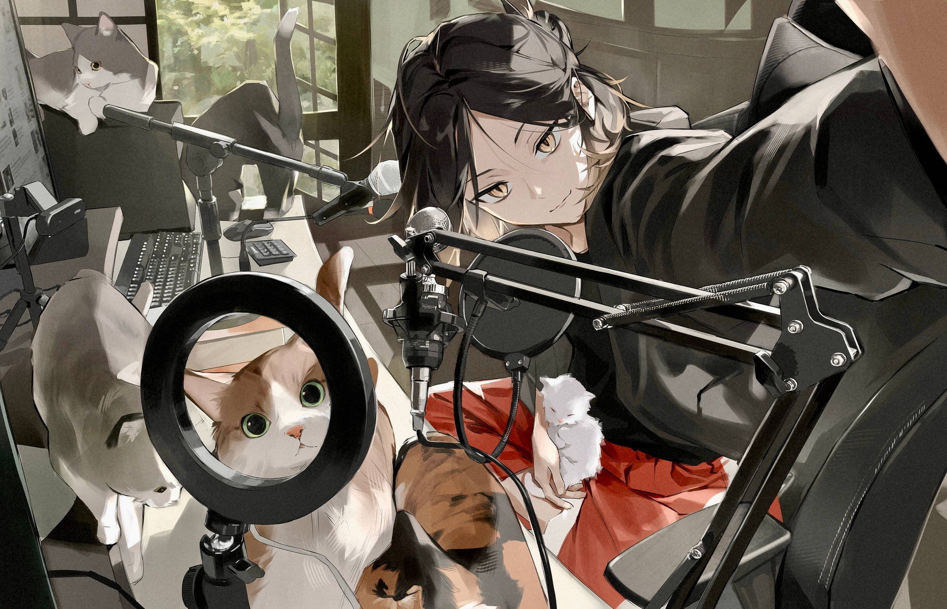 Kenma Kozume Workstation And Cats Background