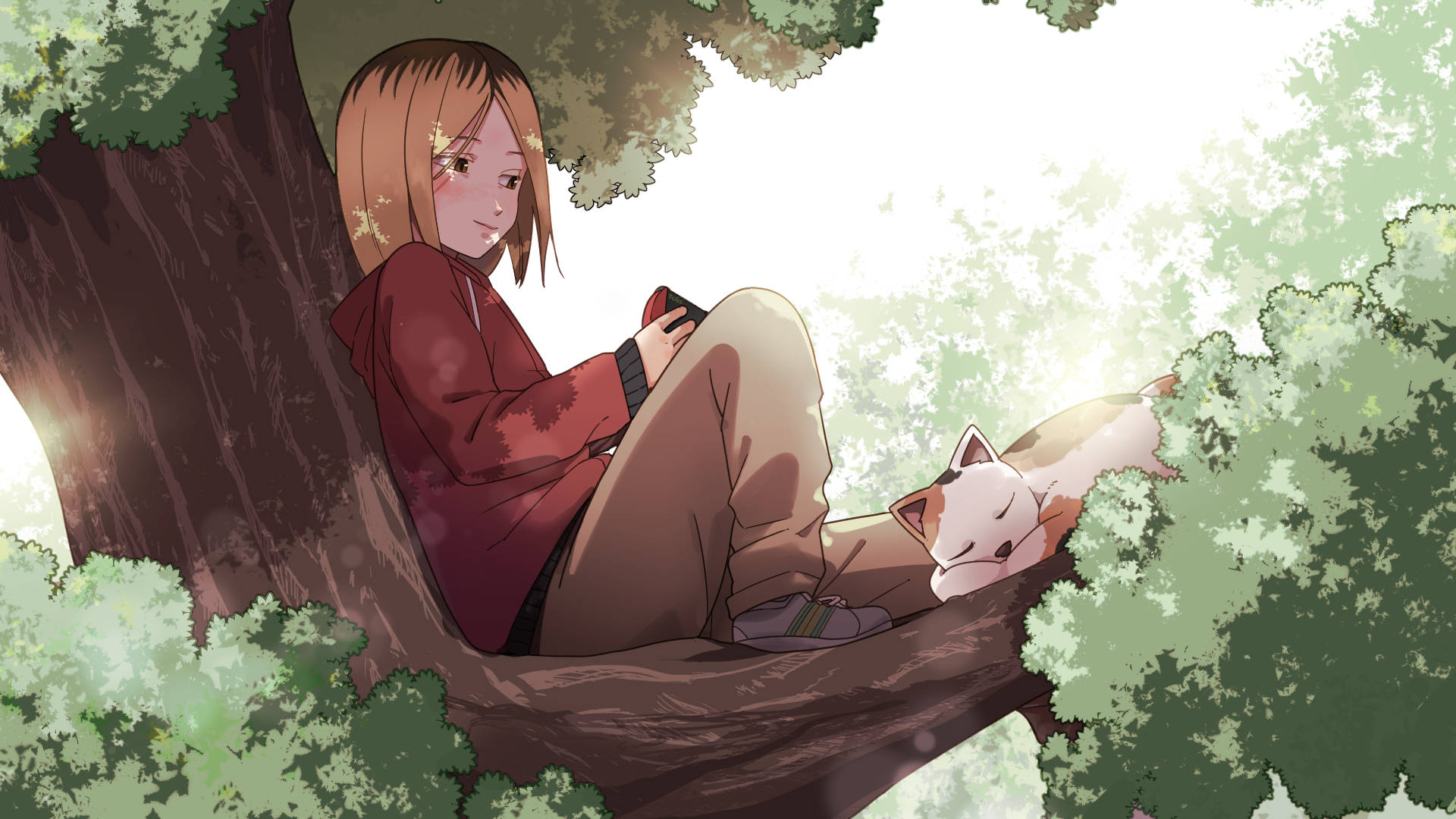 Kenma Resting On A Tree Background