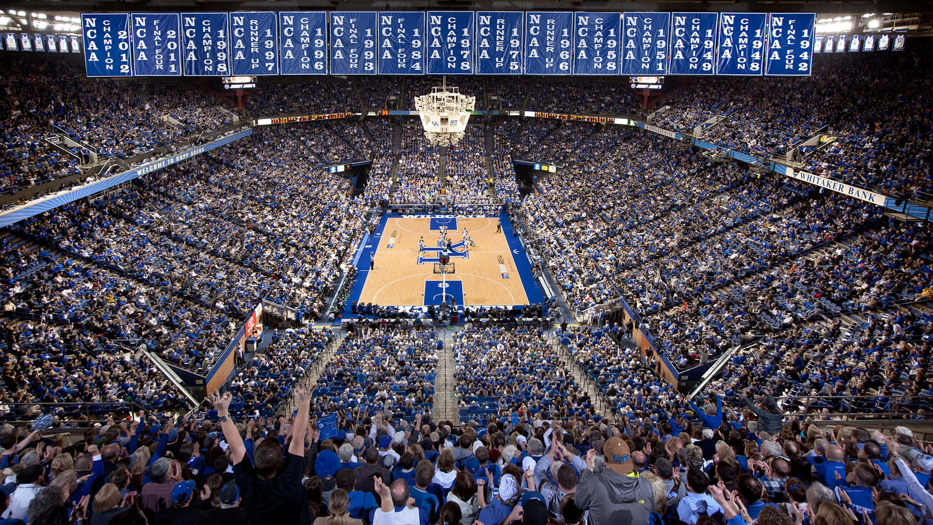 Kentucky Wildcats Basketball - Kentucky Wildcats Basketball Background