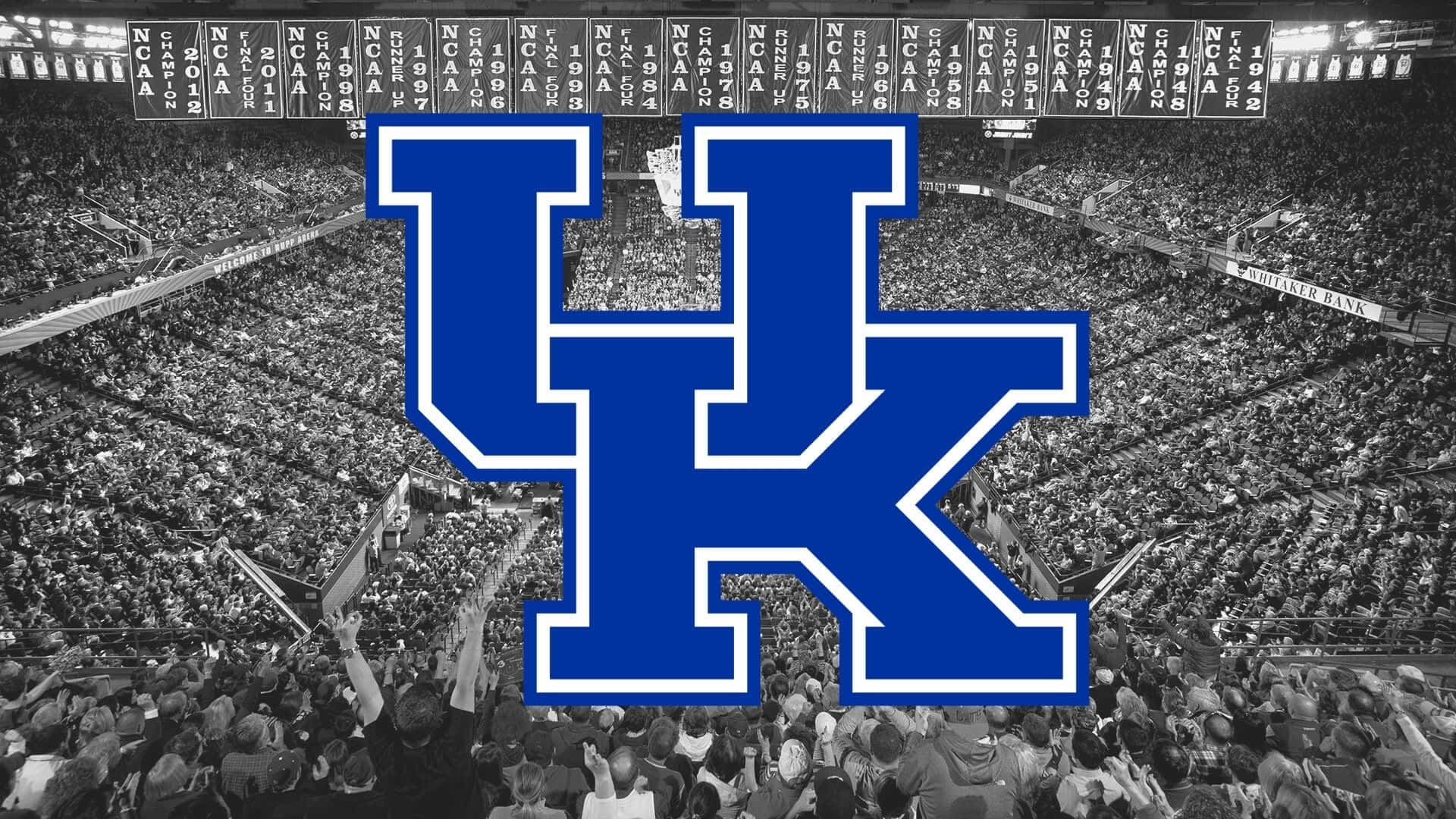 Kentucky Wildcats Logo In A Stadium Background