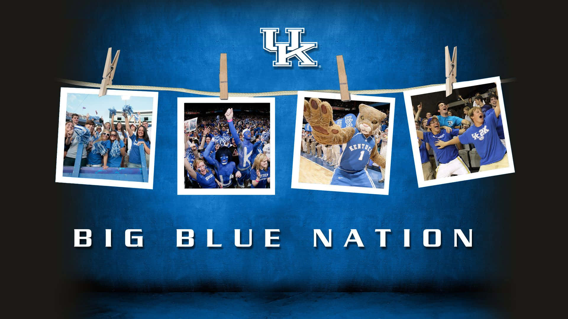 Kentucky Wildcats Photo Compilation Mascot Students Background