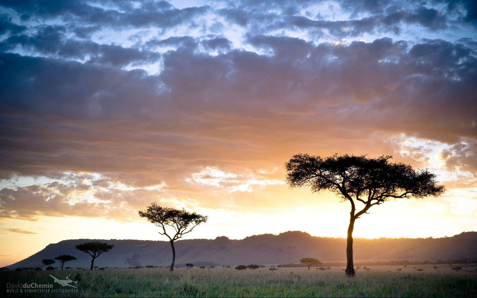 Kenya Safari At Sunset Background