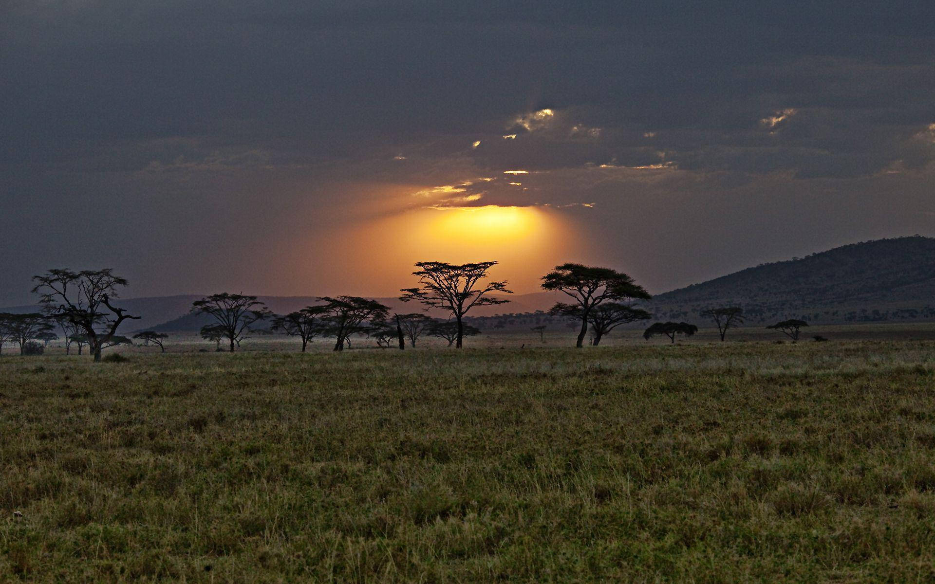 Kenya Safari Nature Reserve Background
