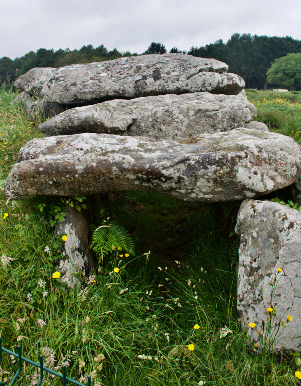 Kermario Dolmen Carnac Stones Burial Chamber