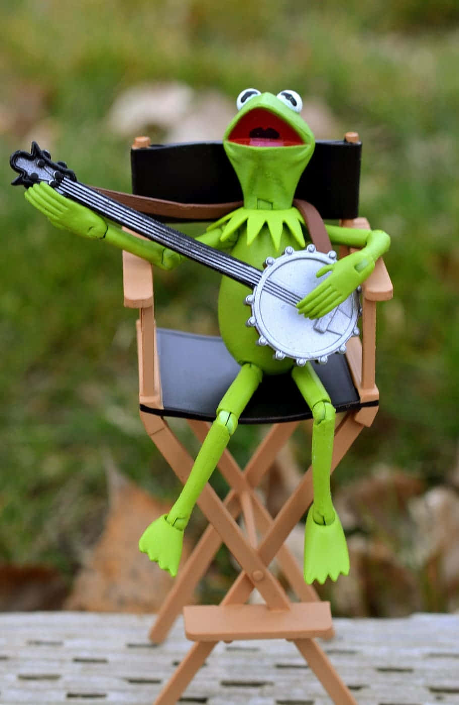 Kermit Banjo Director Chair Background