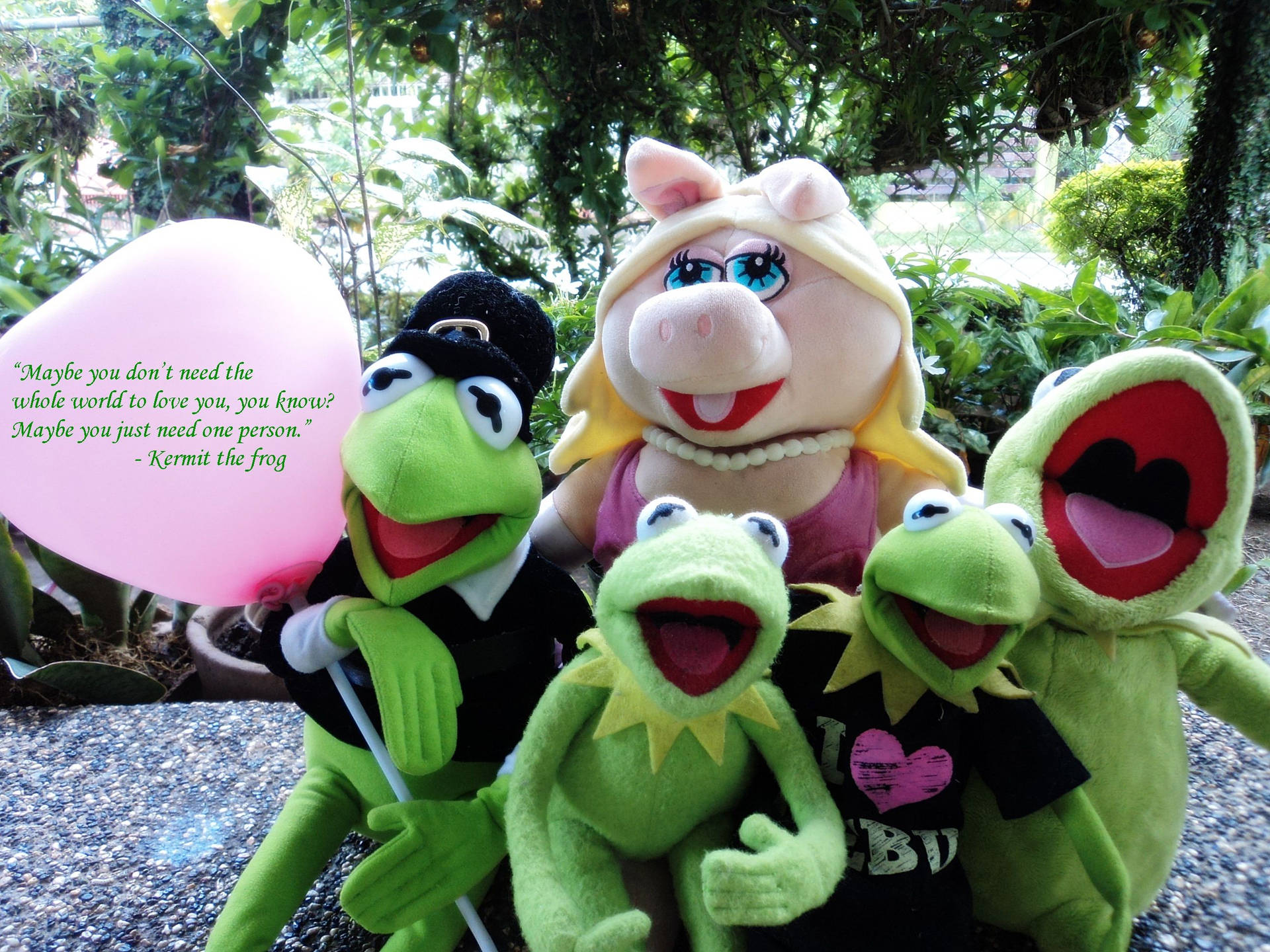Kermit The Frog And Family