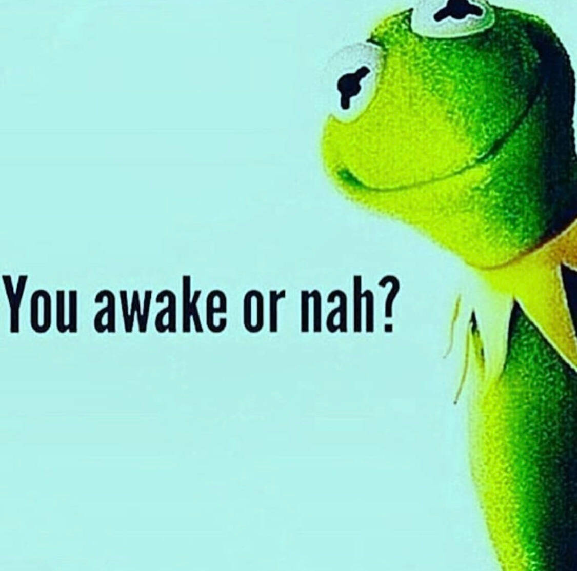 Kermit The Frog Awake