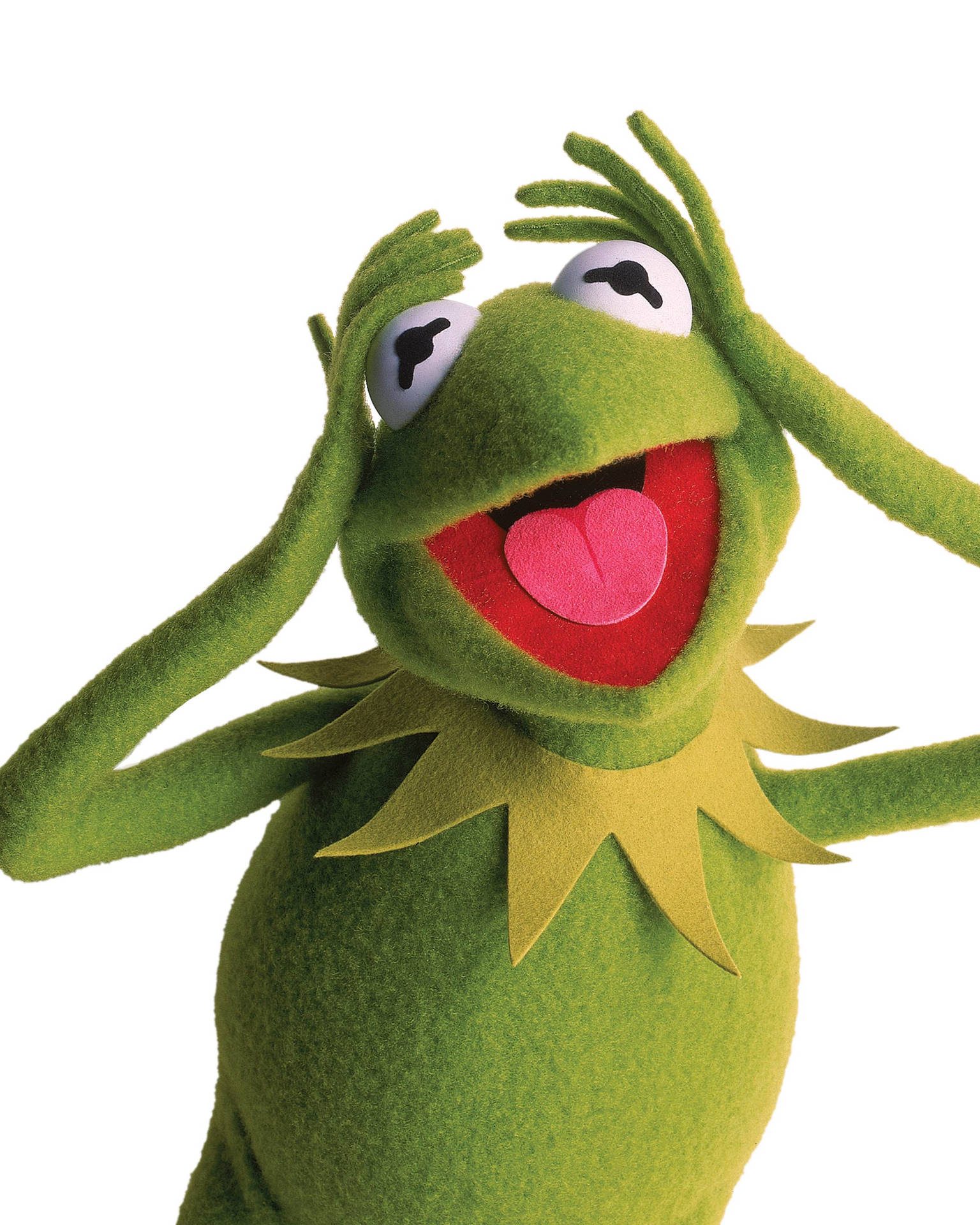 Kermit The Frog Hands On Head Background