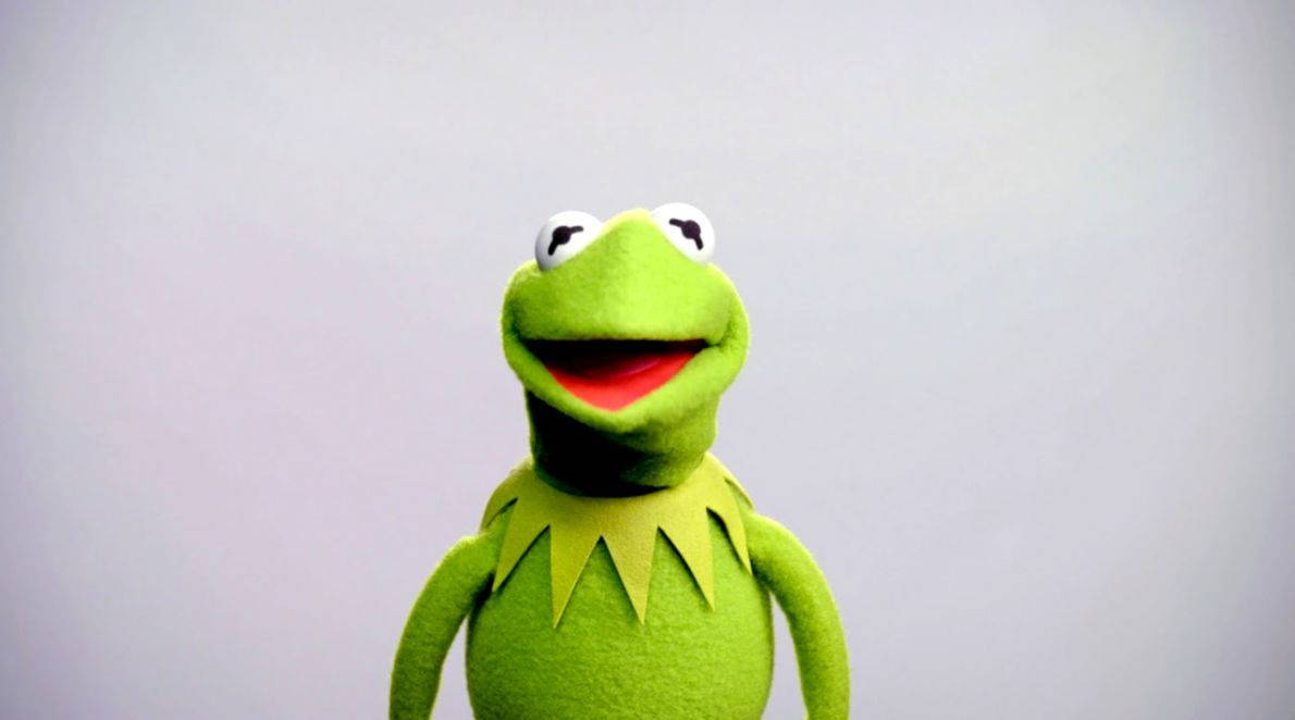 Kermit The Frog Headshot Background