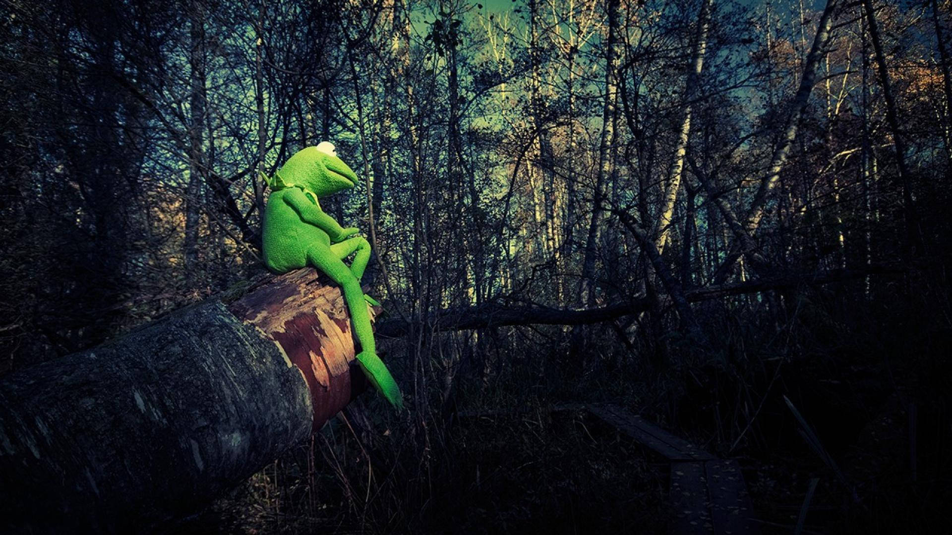 Kermit The Frog In Forest