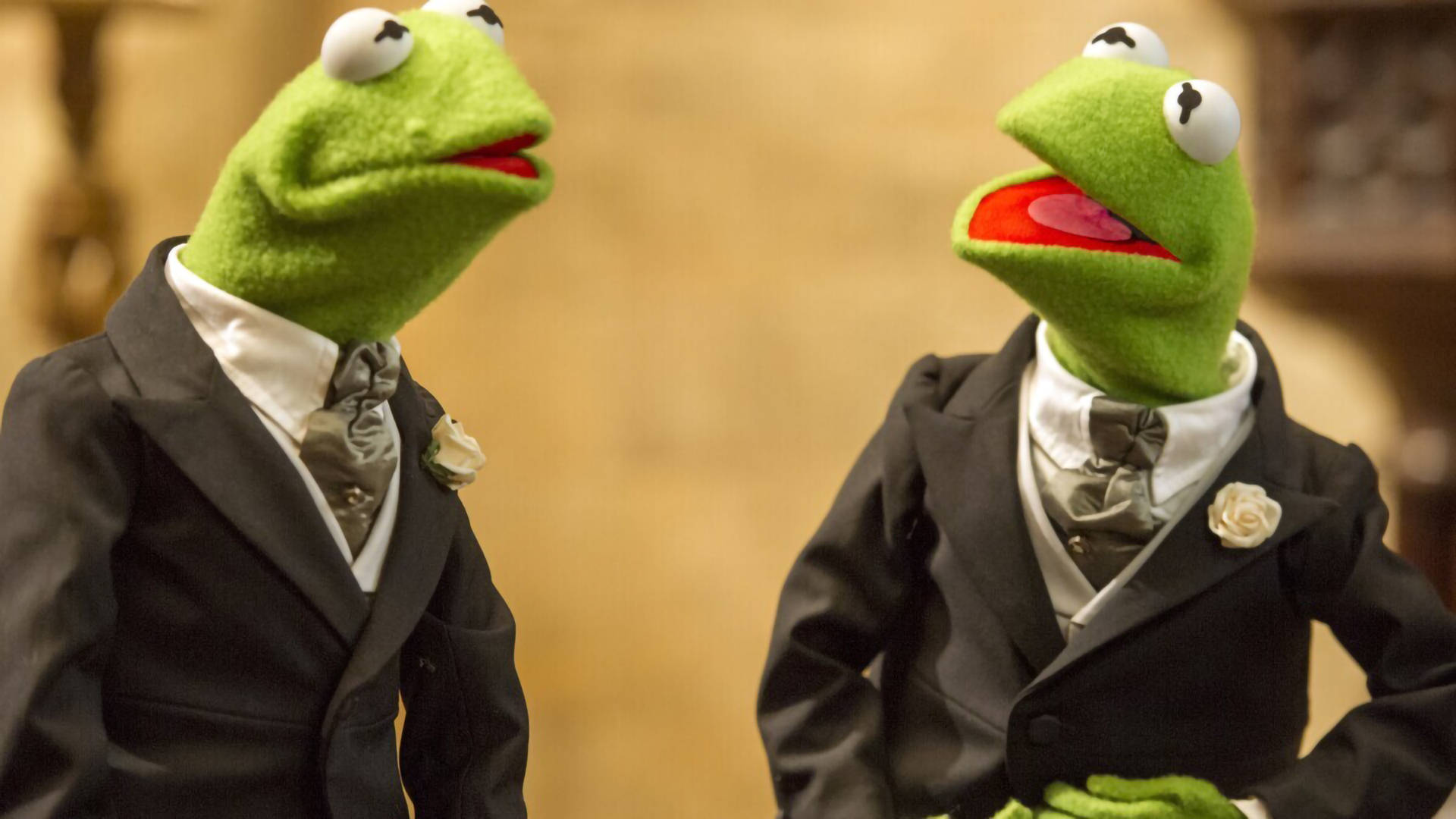Kermit The Frog Interacting With His Look-alike In Muppets Most Wanted. Background