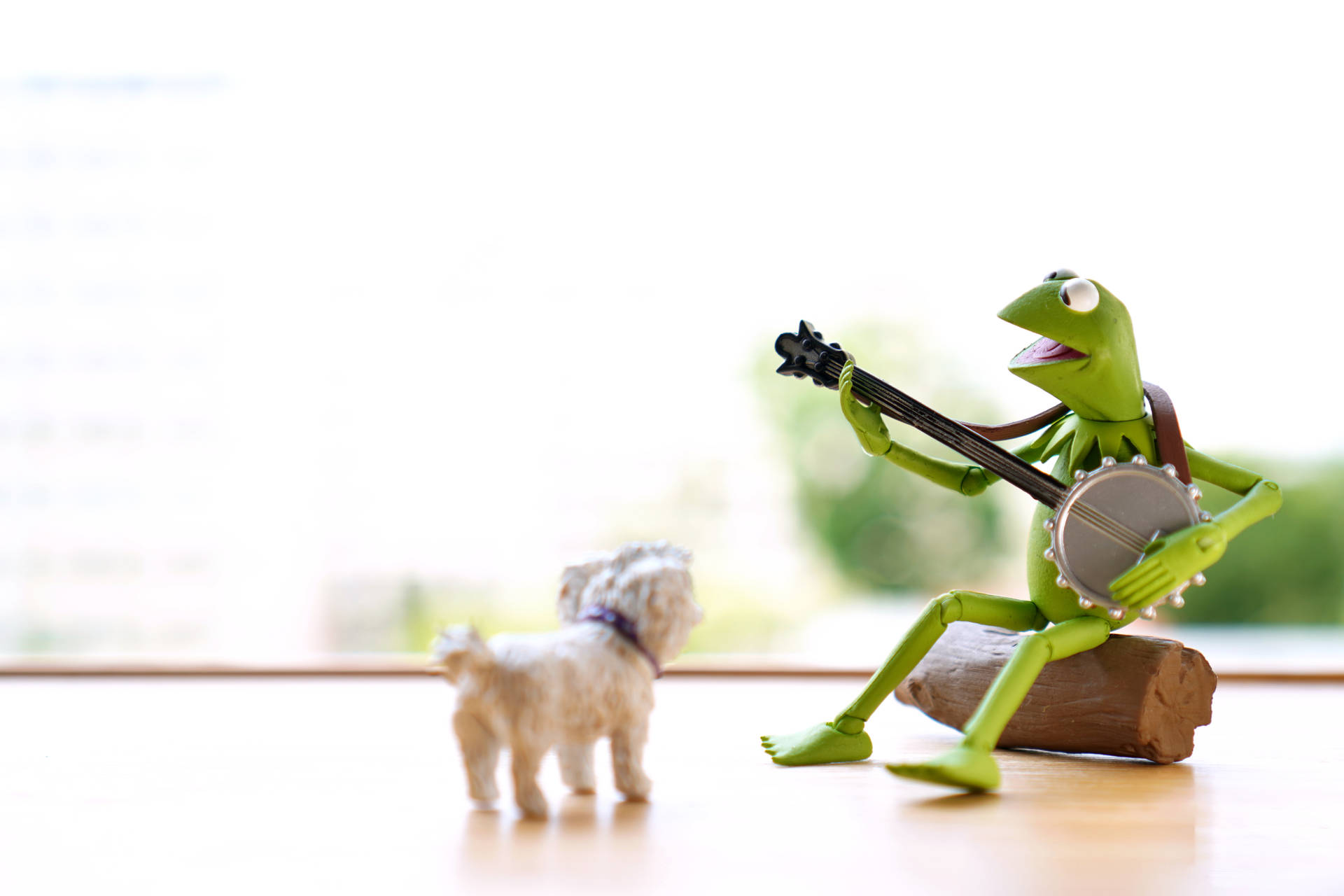 Kermit The Frog Playing Banjo To Dog Background