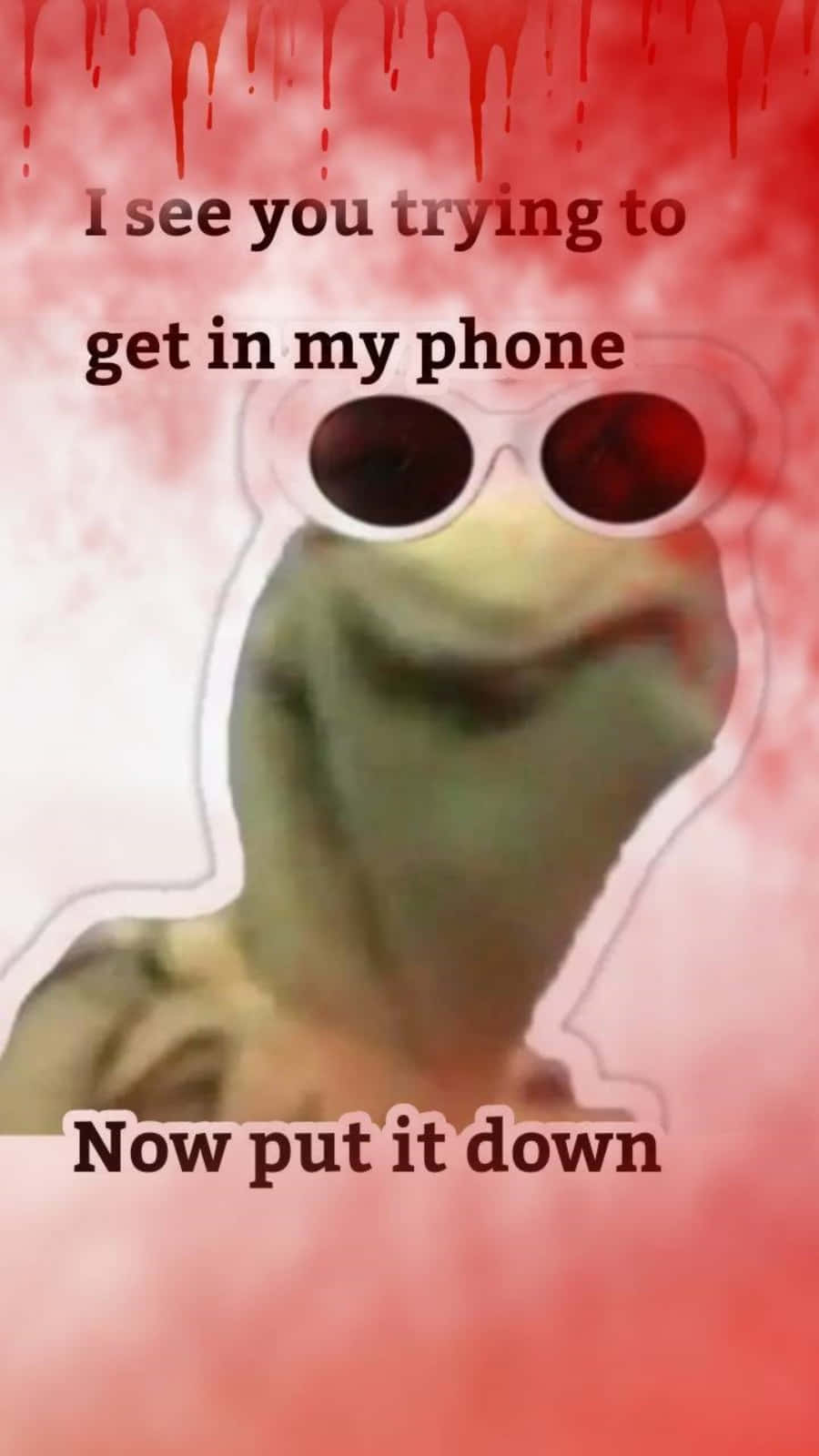 Kermit The Frog Put Down My Phone Savage Quotes Background