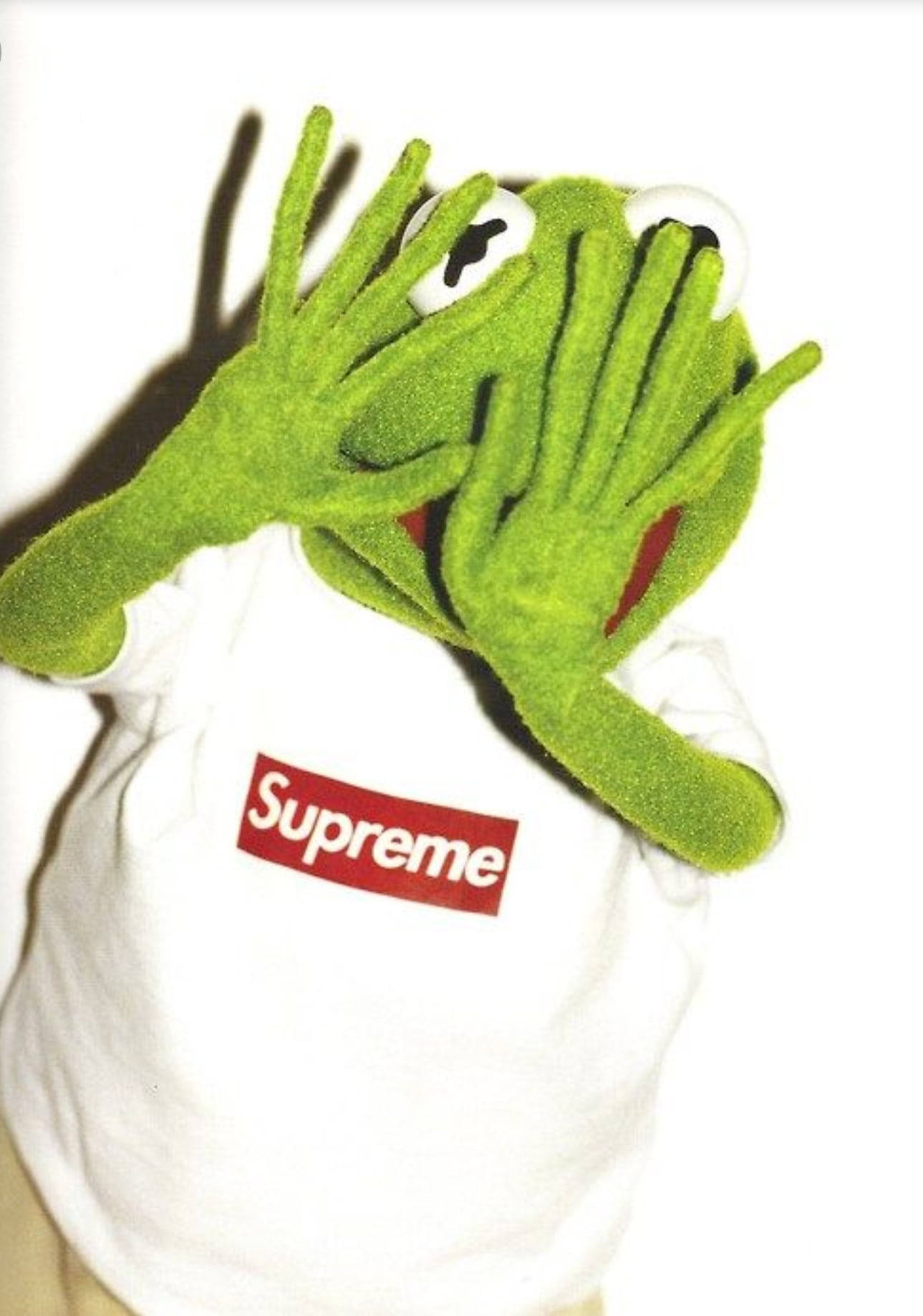 Kermit The Frog The Muppets Supreme Shirt Background