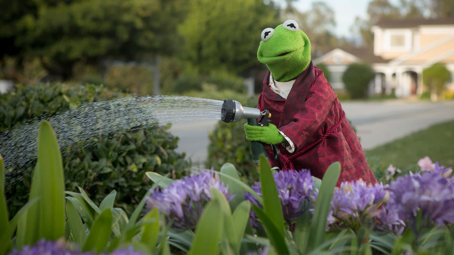 Kermit Watering Garden Scene Background