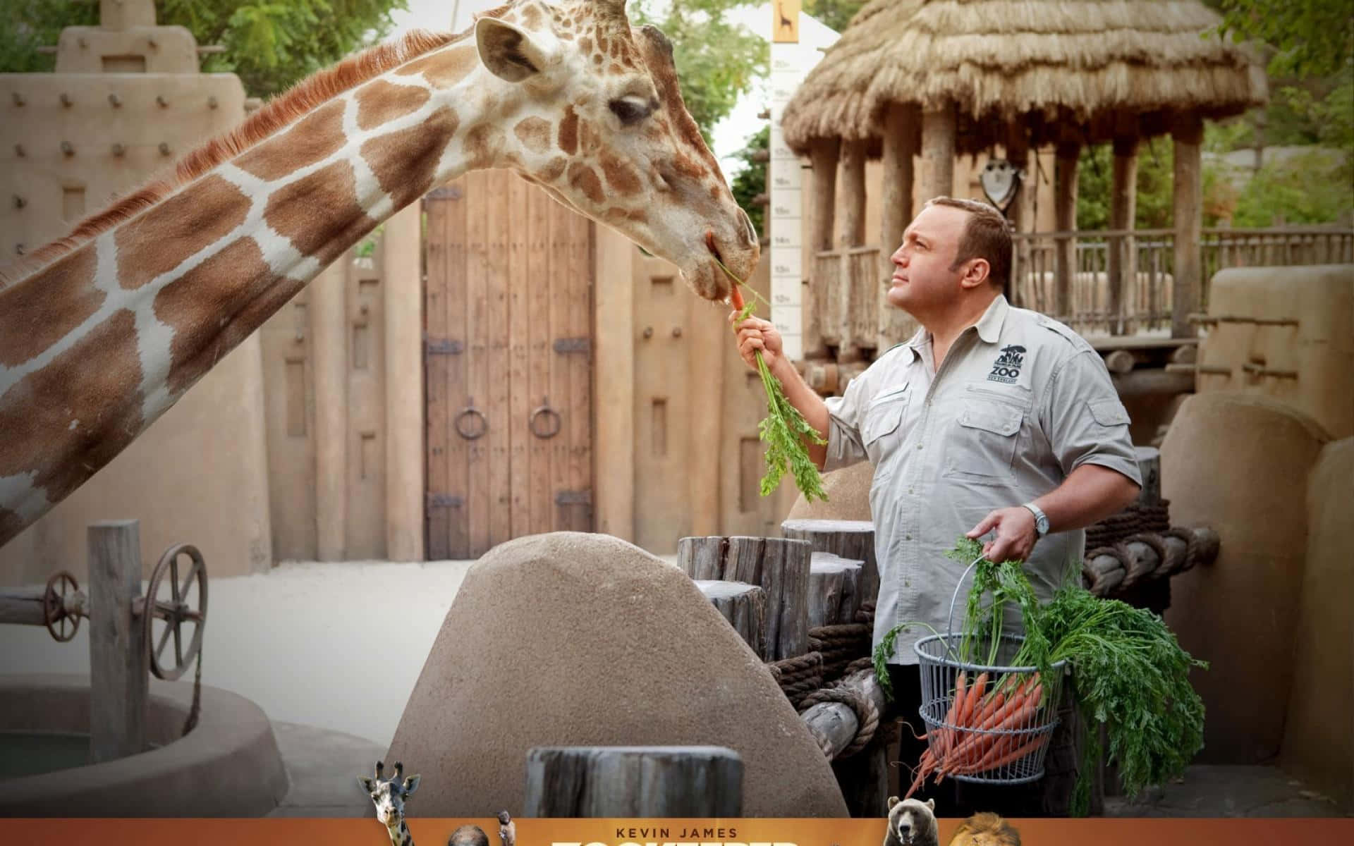 Kevin James In High Definition Background