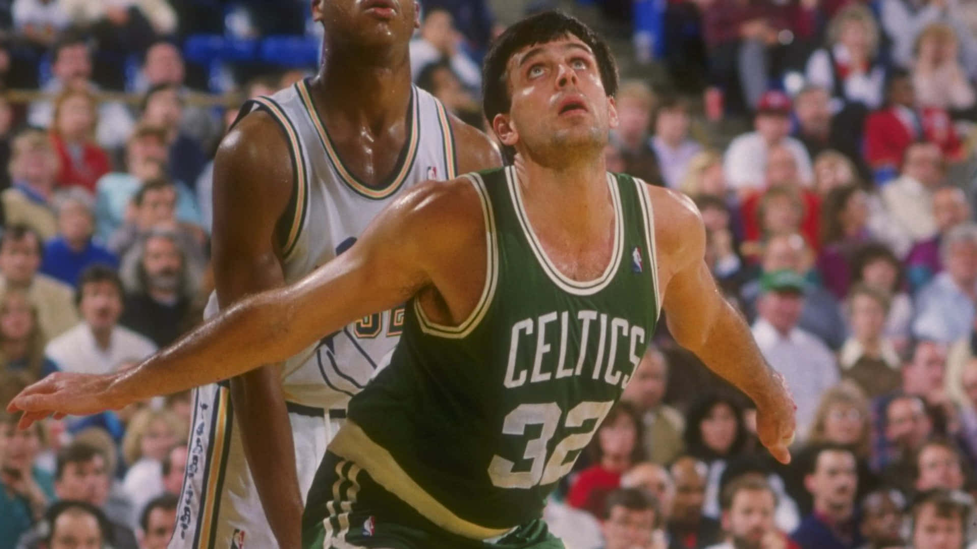 Kevin Mchale Boston Celtics Waiting Ball Defense Background